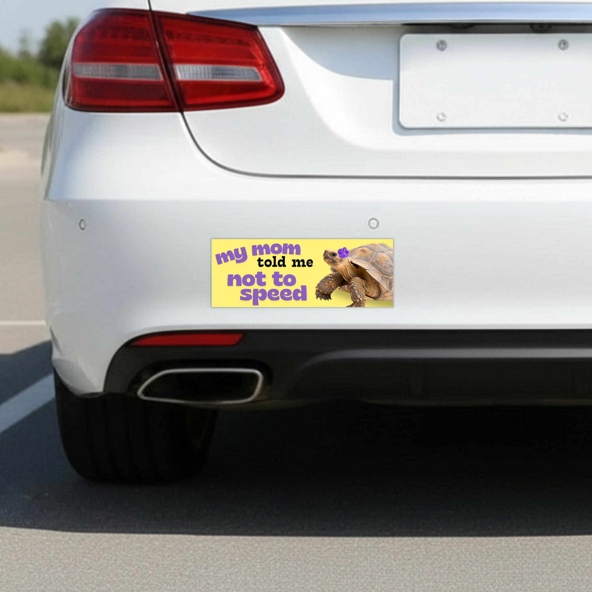 My Mom Told Me Not To Speed Car Magnet | Turtle Tortoise Funny Bumper Magnet-Sleazy Greetings-The Bullish Store