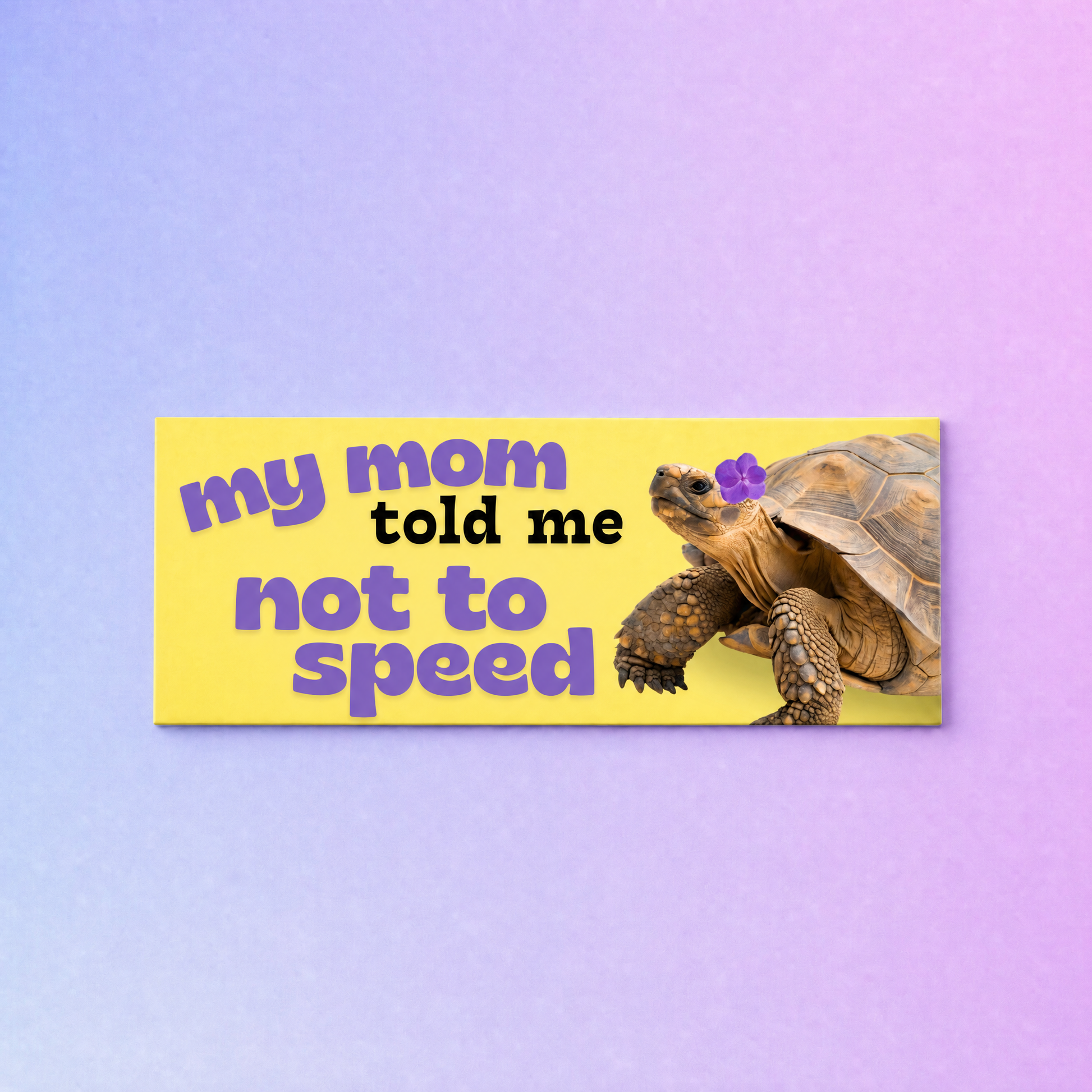 My Mom Told Me Not To Speed Car Magnet | Turtle Tortoise Funny Bumper Magnet-Sleazy Greetings-The Bullish Store