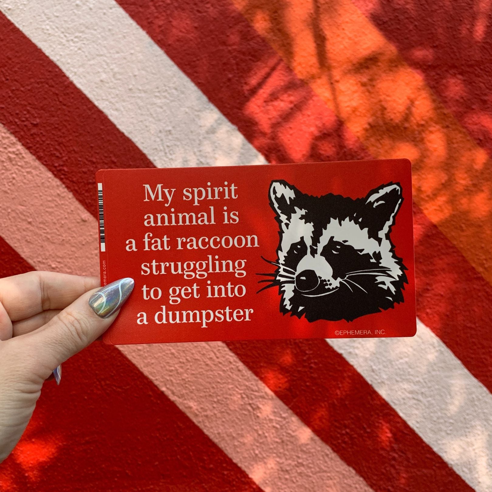 My Spirit Animal Is A Fat Raccoon Vinyl Sticker | Rectangular Large Size Decal | 6" x 3.4"