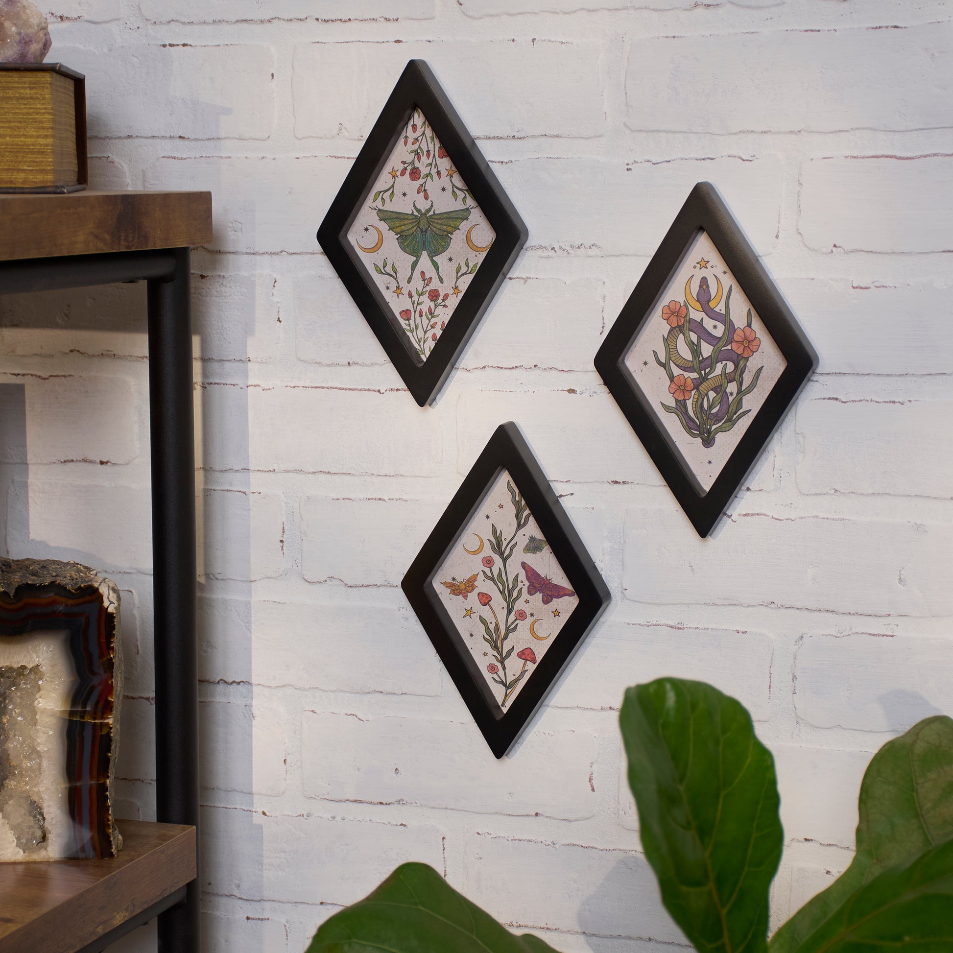 Three diamond-framed artworks on a white brick wall with a wooden shelf and green leaves in the foreground.