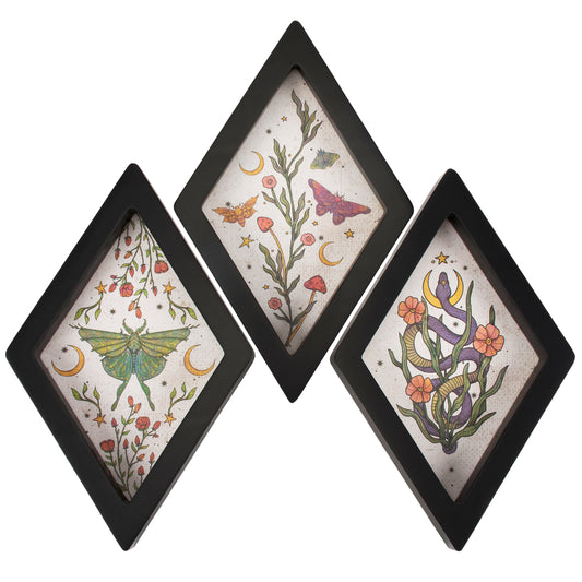 Three diamond-shaped framed artworks with nature-themed designs on a white background