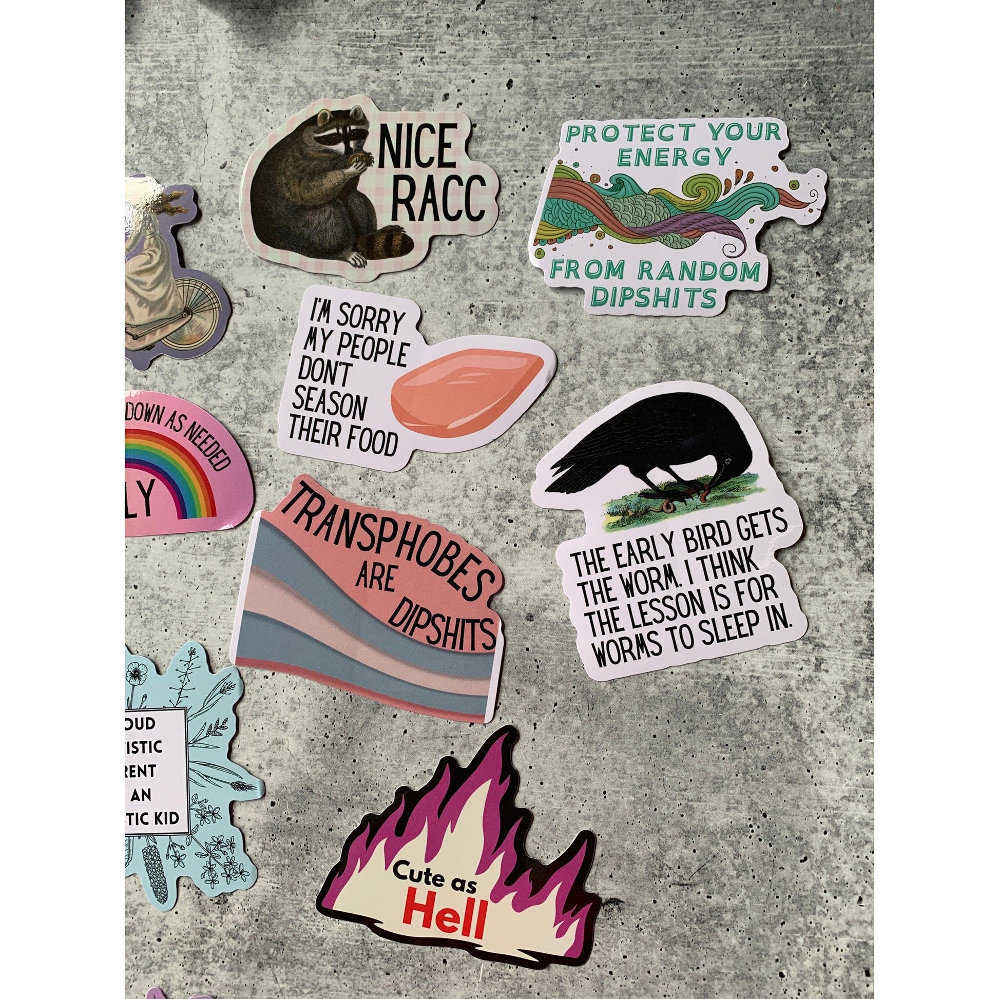 Nice Racc Die Cut Vinyl Sticker | Punny Vintage Historical Animal Illustration