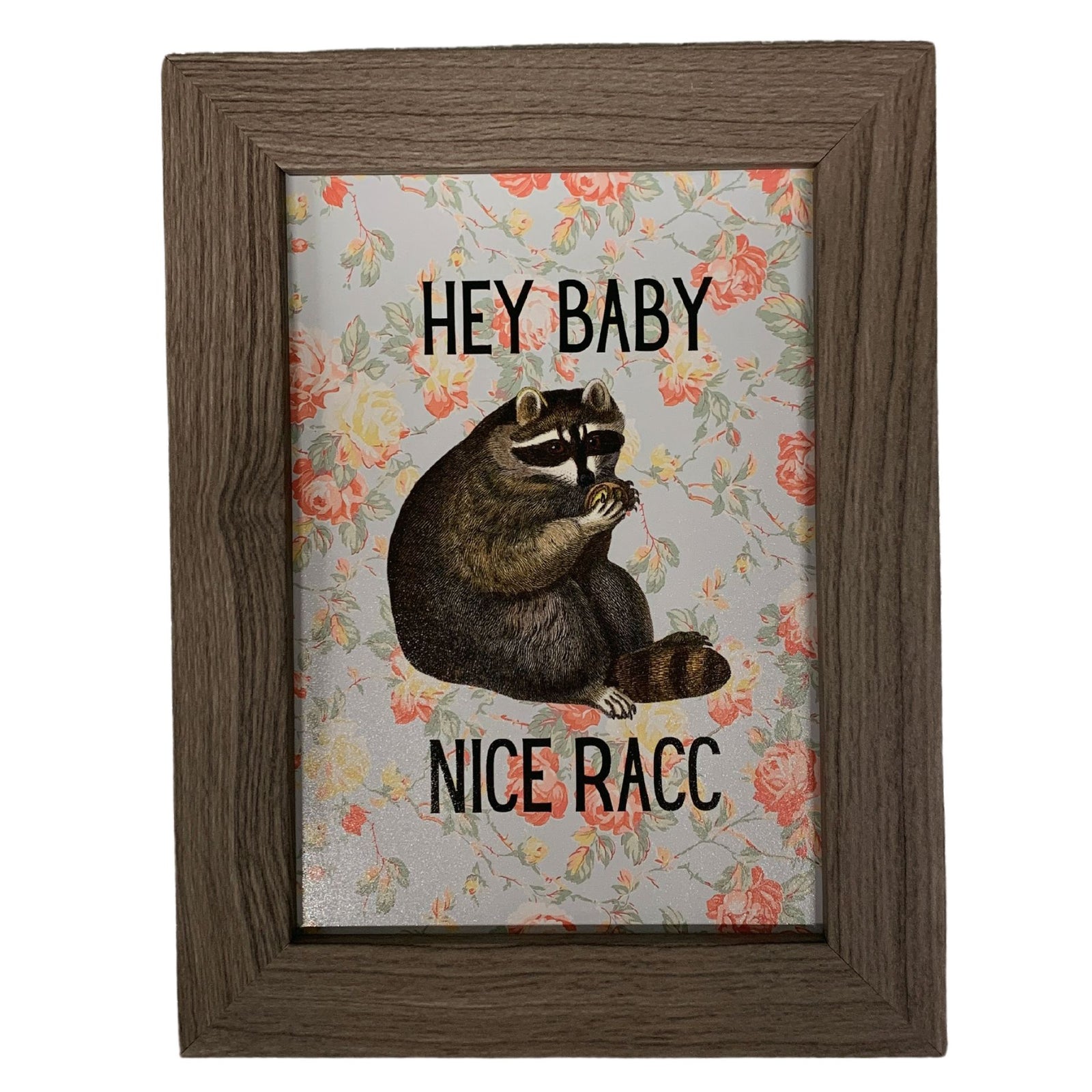 Nice Racc Vintage Raccoon Illustration Framed Wall Art | GetBullish Original Quote Sign