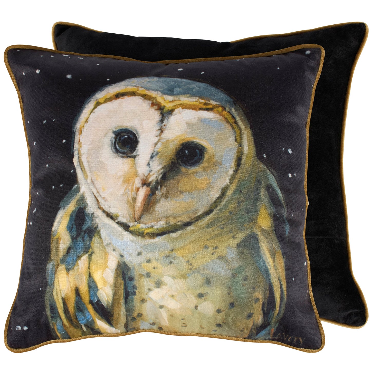 Night Barn Owl Velvet Pillow with Zipper | 14" x 14"