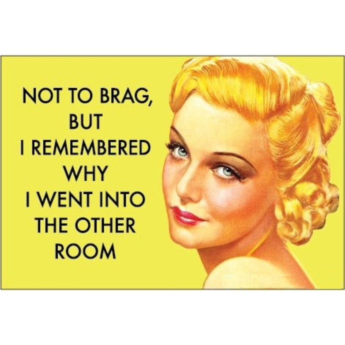 Not to Brag, But I Remembered Why I Went Into the Other Room Magnet | 2" x 3"-Ephemera-The Bullish Store