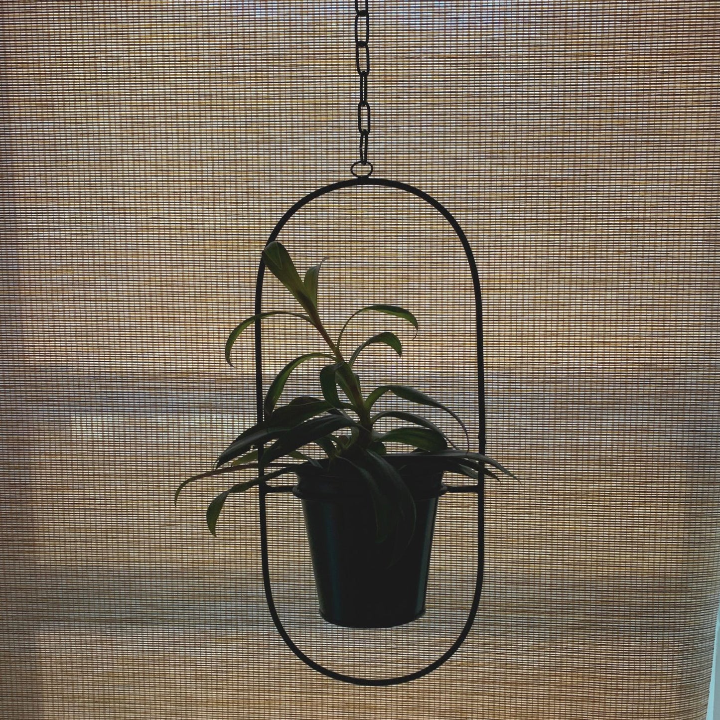 Oval Planter in Matte Black | Minimalist Metal Hanging Planter | 7" x 15"