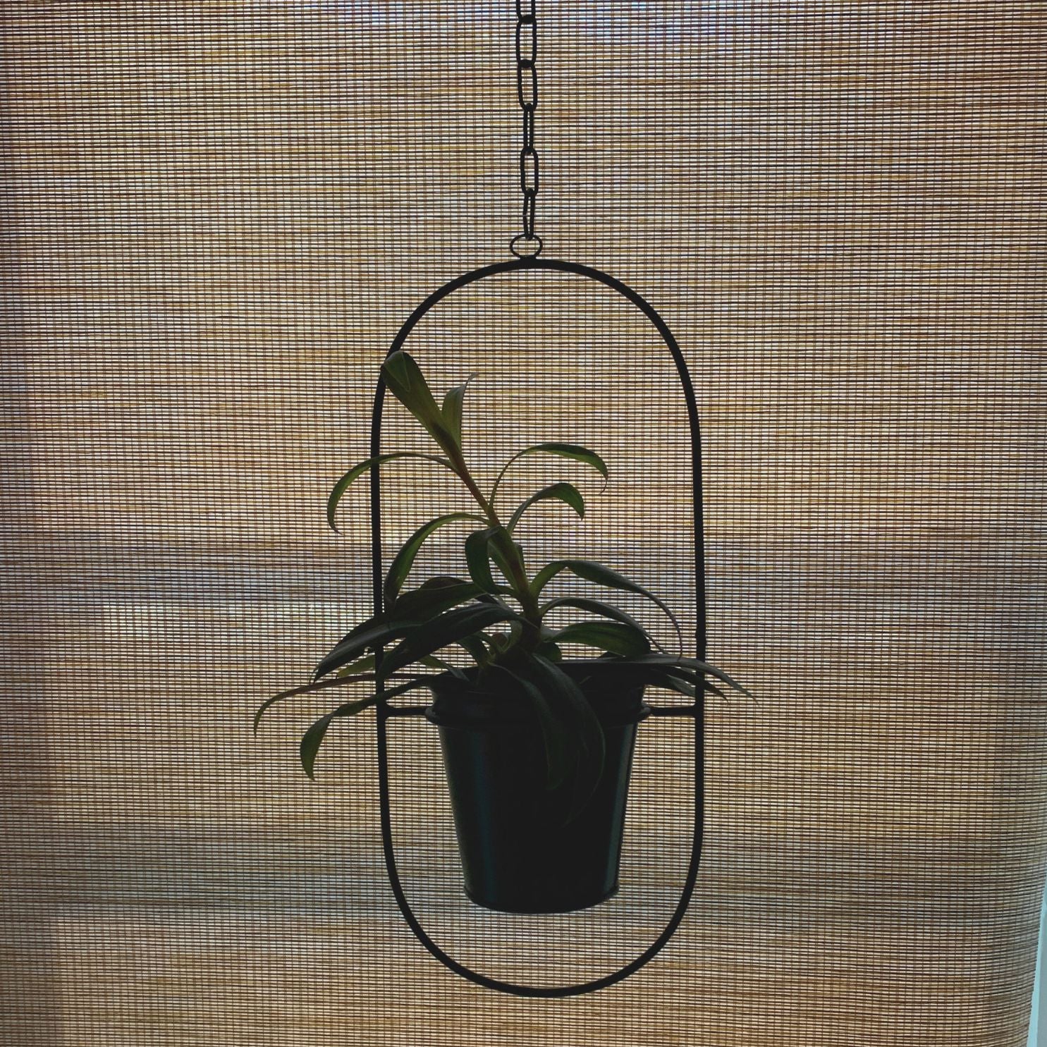 Oval Planter in Matte Black | Minimalist Metal Hanging Planter | 7" x 15"