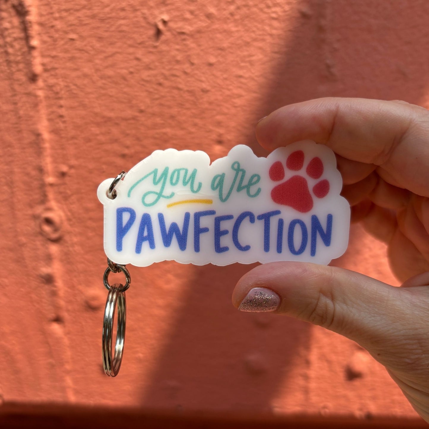 Pack of 4 Dog Lover Keychains