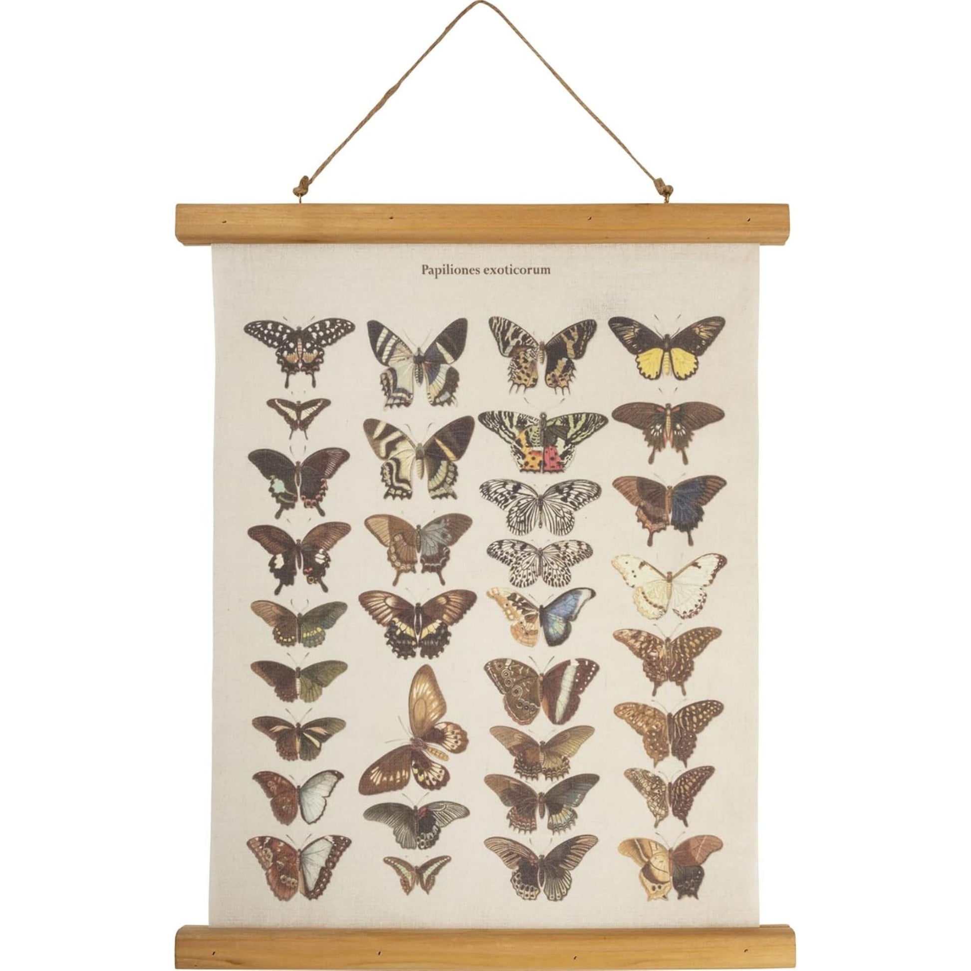 Butterfly illustration poster on a wooden frame with a white background