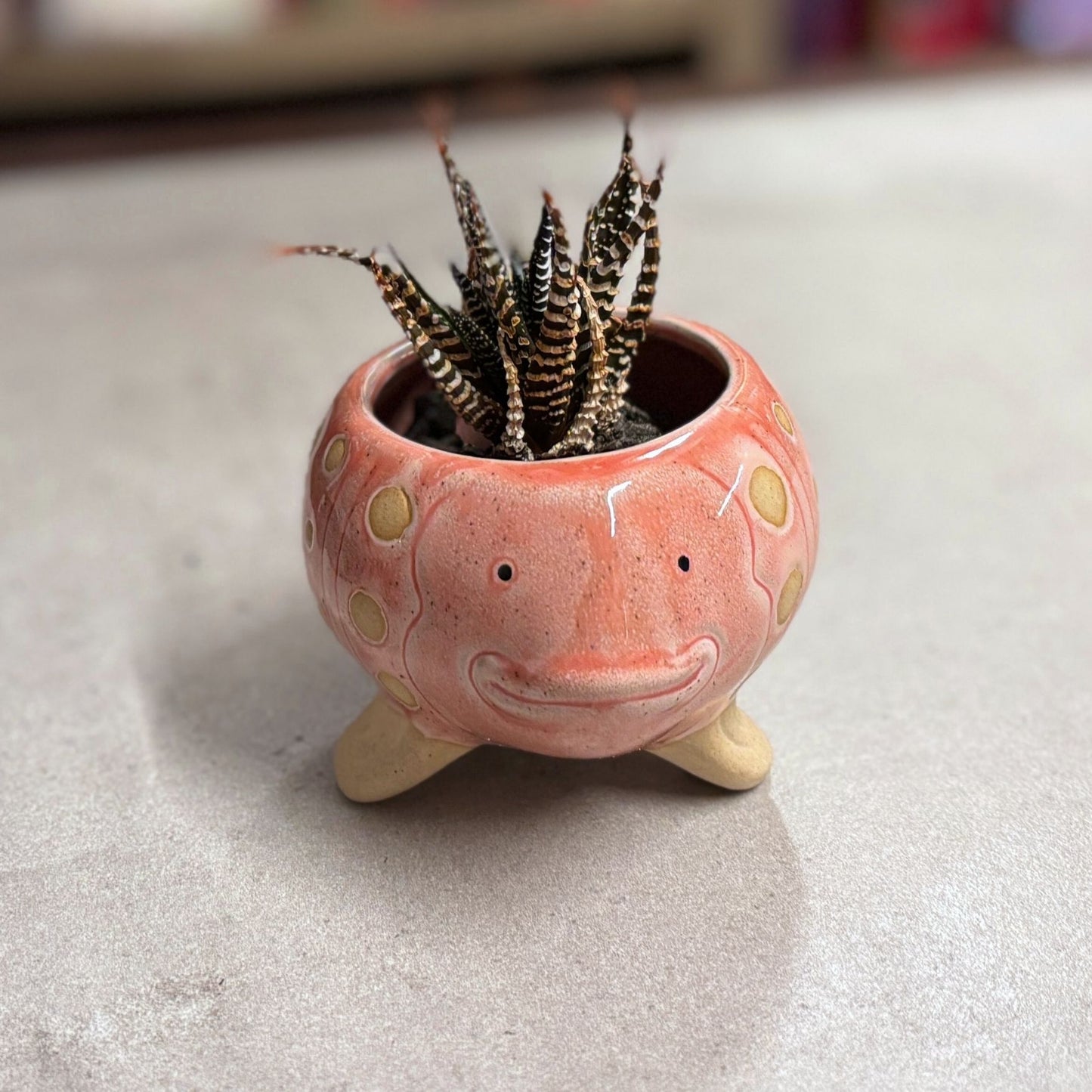 Pink Fish Mini Planter Pot | Tropical Shaped Fish Pot | 5" x 3"
