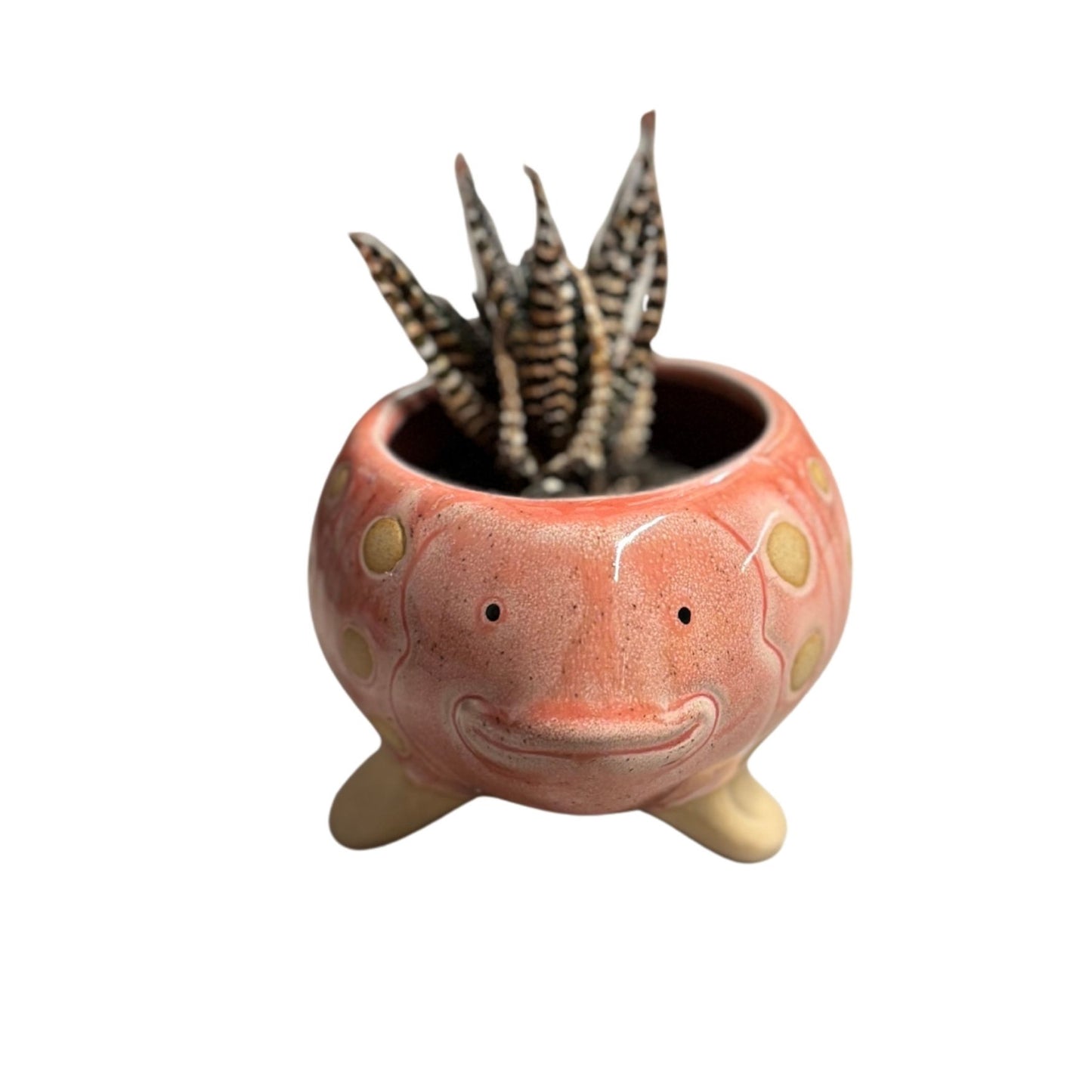 Pink Fish Mini Planter Pot | Tropical Shaped Fish Pot | 5" x 3"