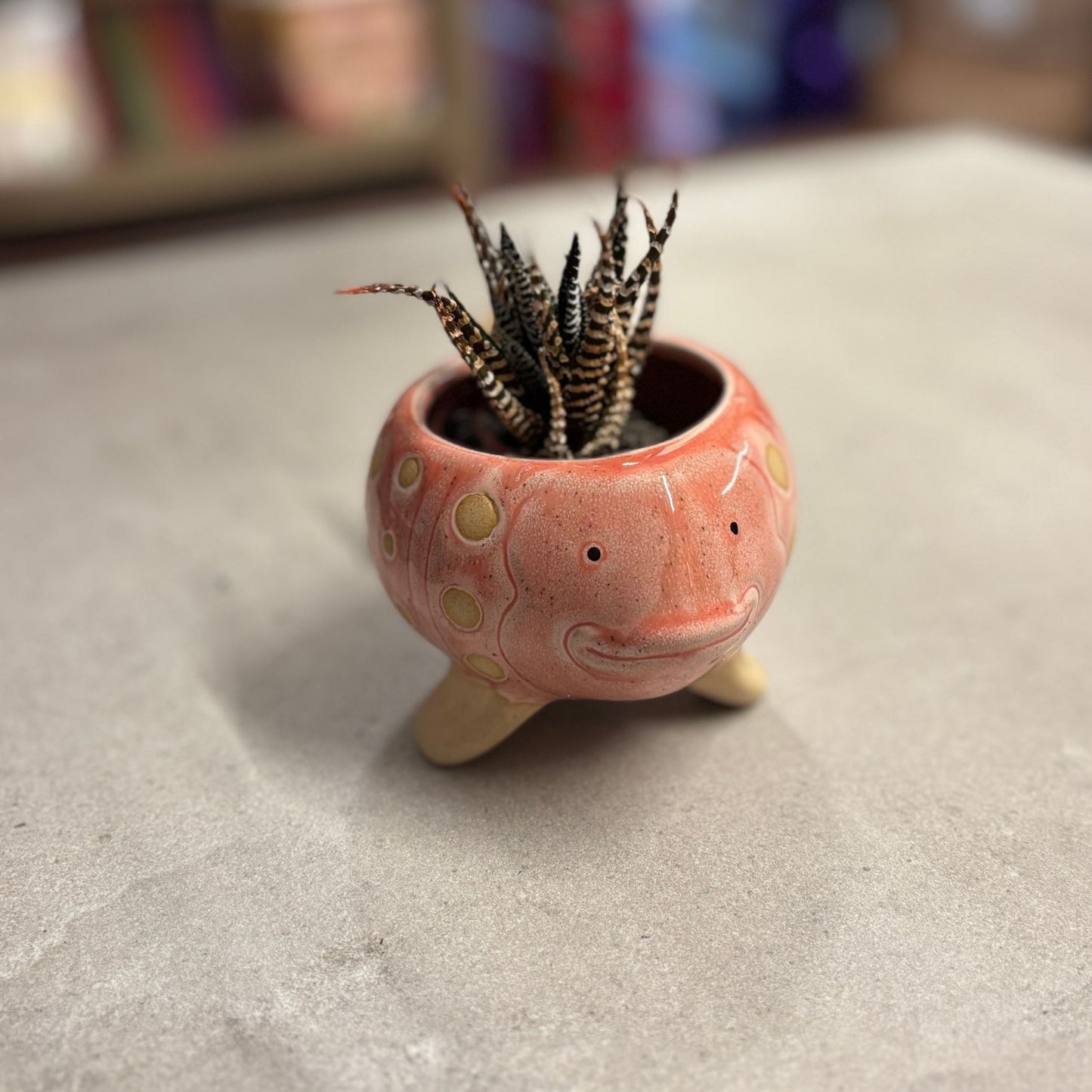 Pink Fish Mini Planter Pot | Tropical Shaped Fish Pot | 5" x 3"