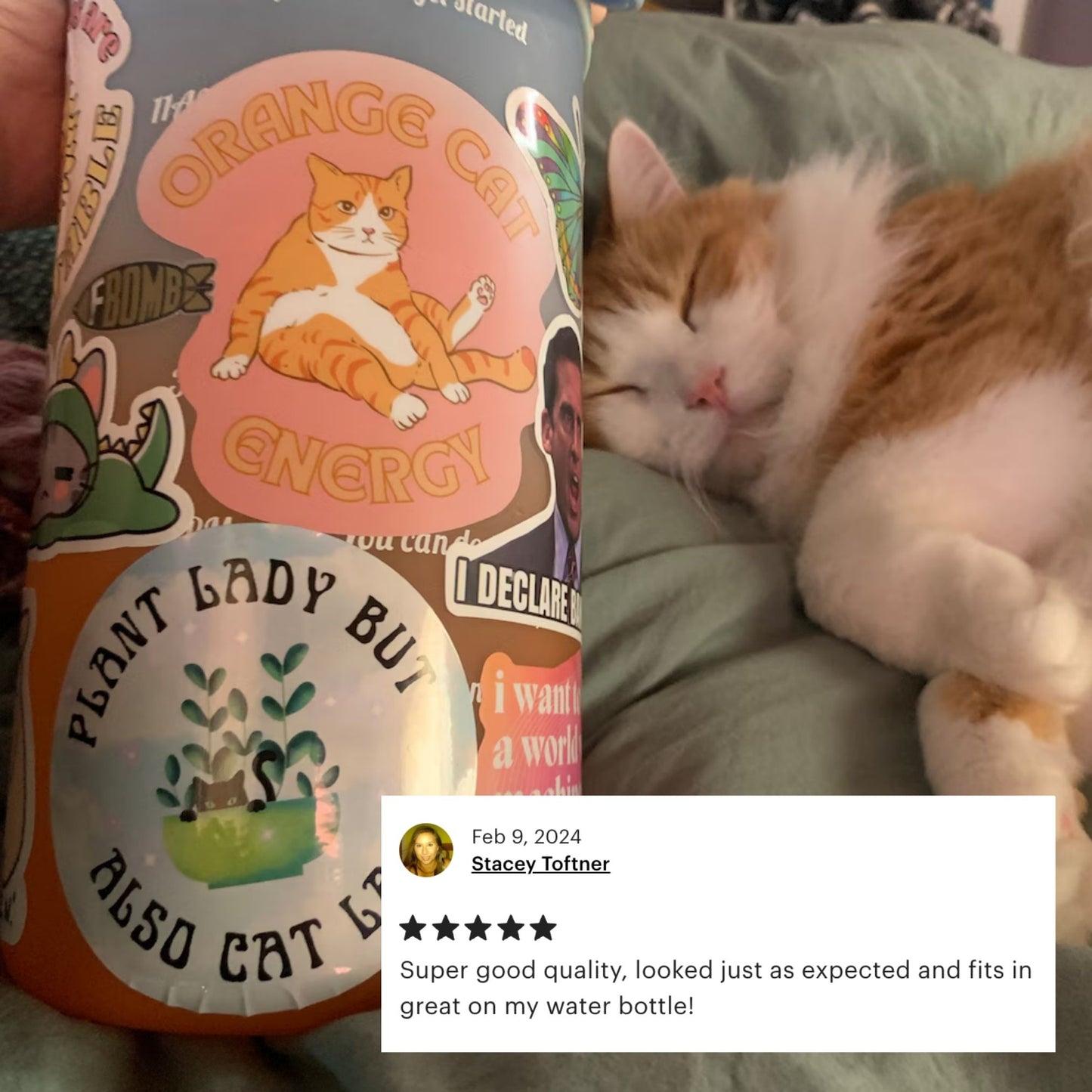 Plant Lady But Also Cat Lady Glossy Circle Vinyl Sticker 3in x 3in