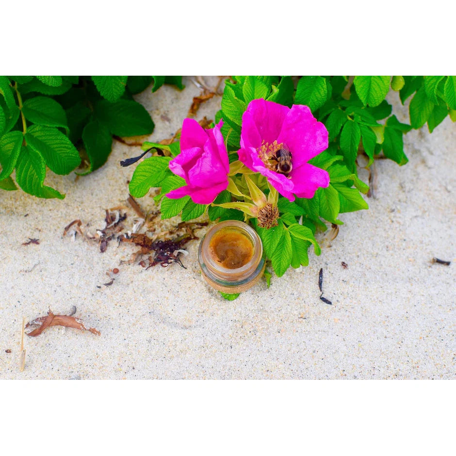 Plant Makeup Cinnamon Lip Plumper | Handmade in Glass Jar | Lip Enhancer in Light Brown Tint