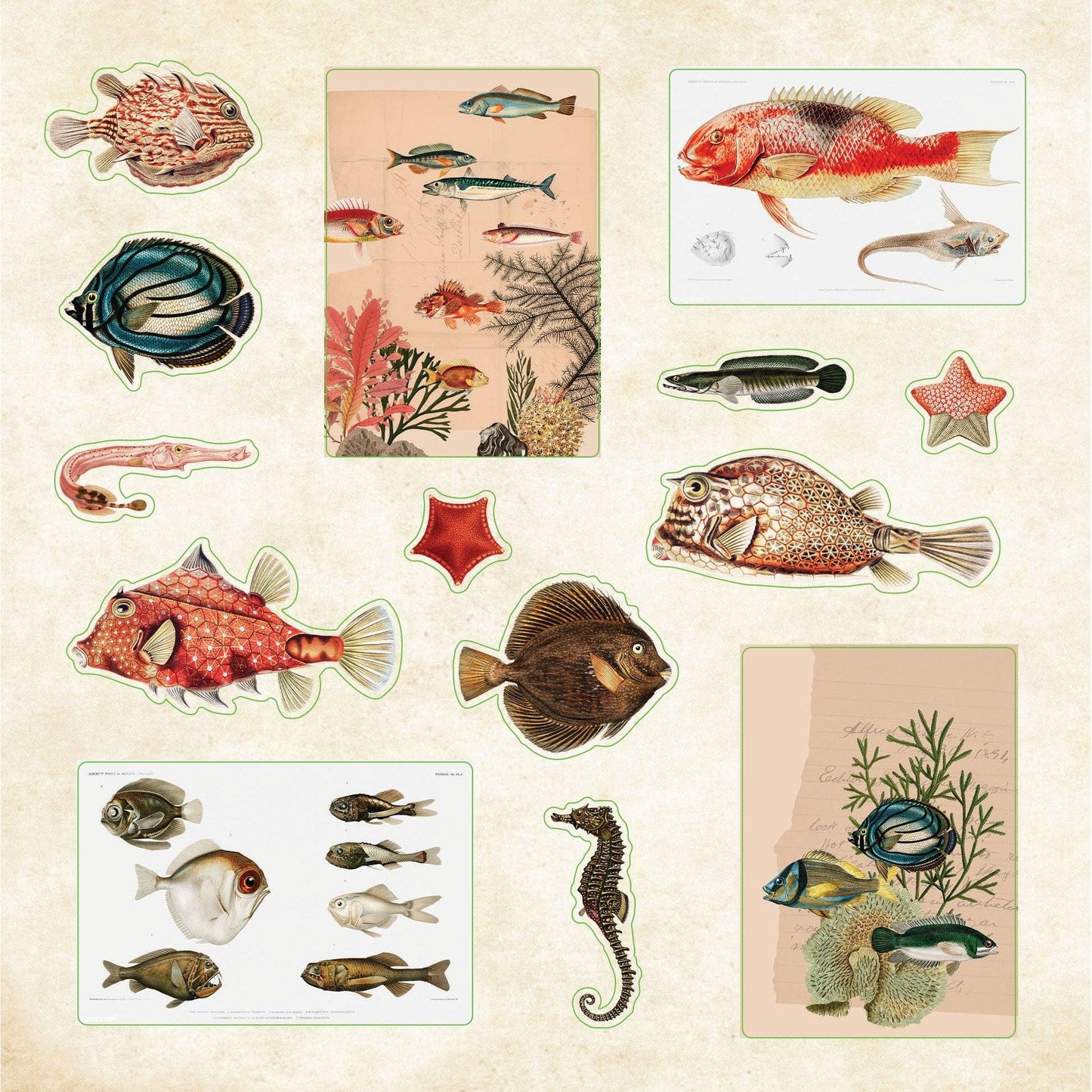 Poseidon's Kingdom Sticker Book | 50 Pages Astonishing Oceanic Decals Collection | 6.5''