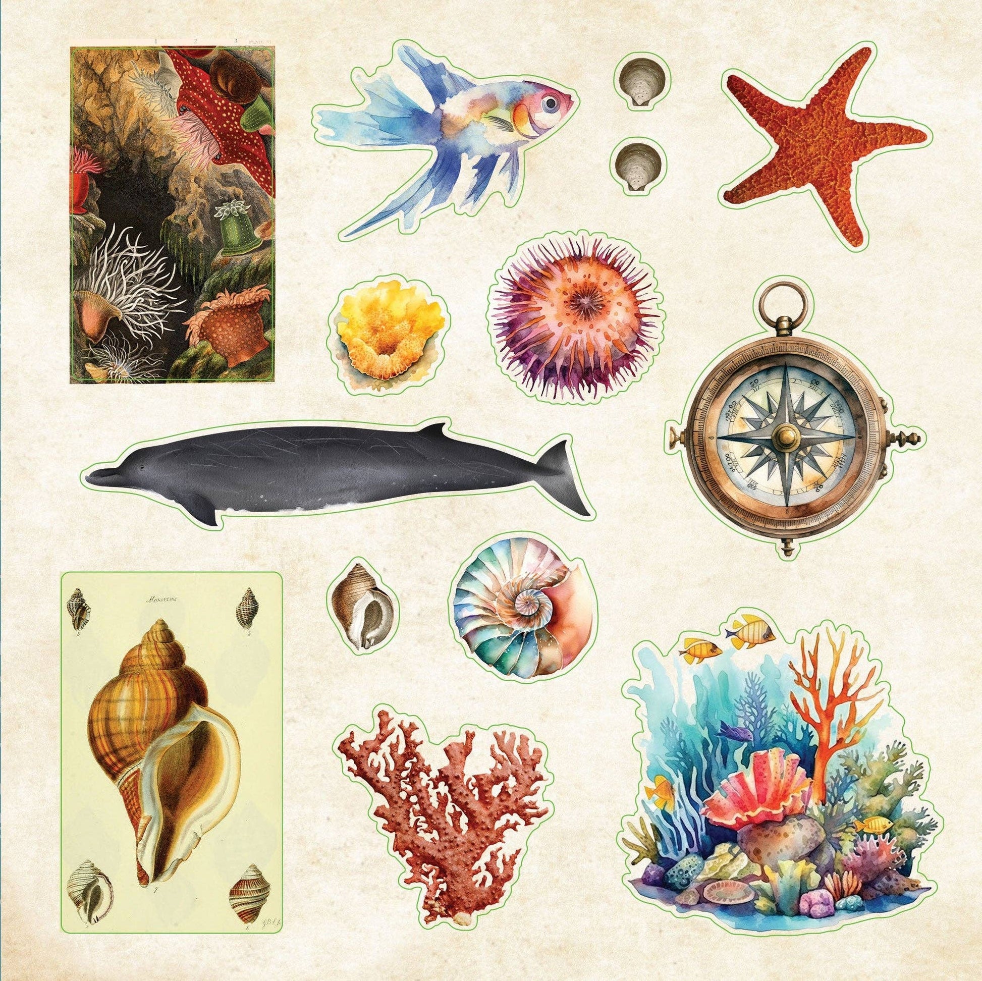 Poseidon's Kingdom Sticker Book | 50 Pages Astonishing Oceanic Decals Collection | 6.5''