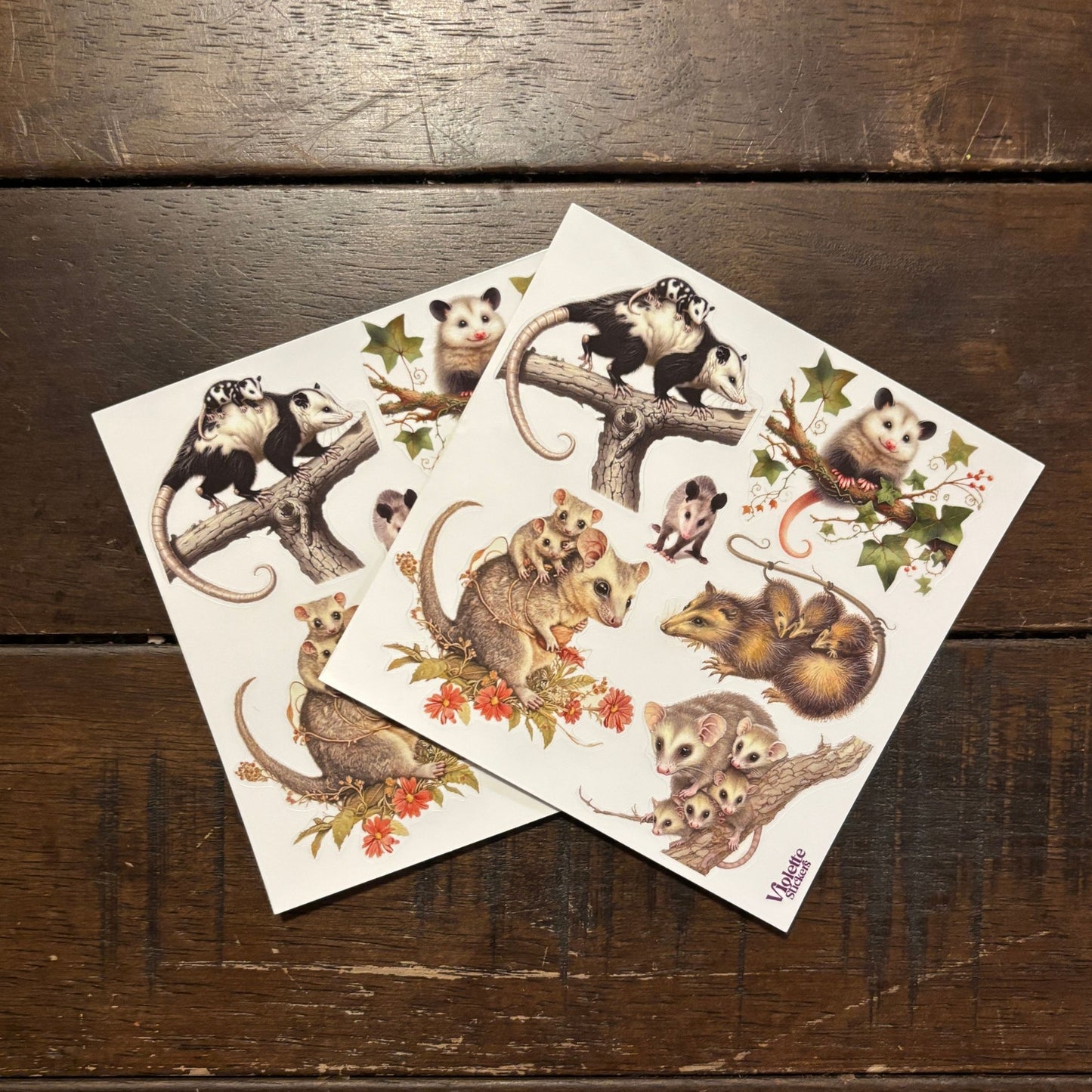 Possum Stickers | 4" x 4" | 2 Sheets