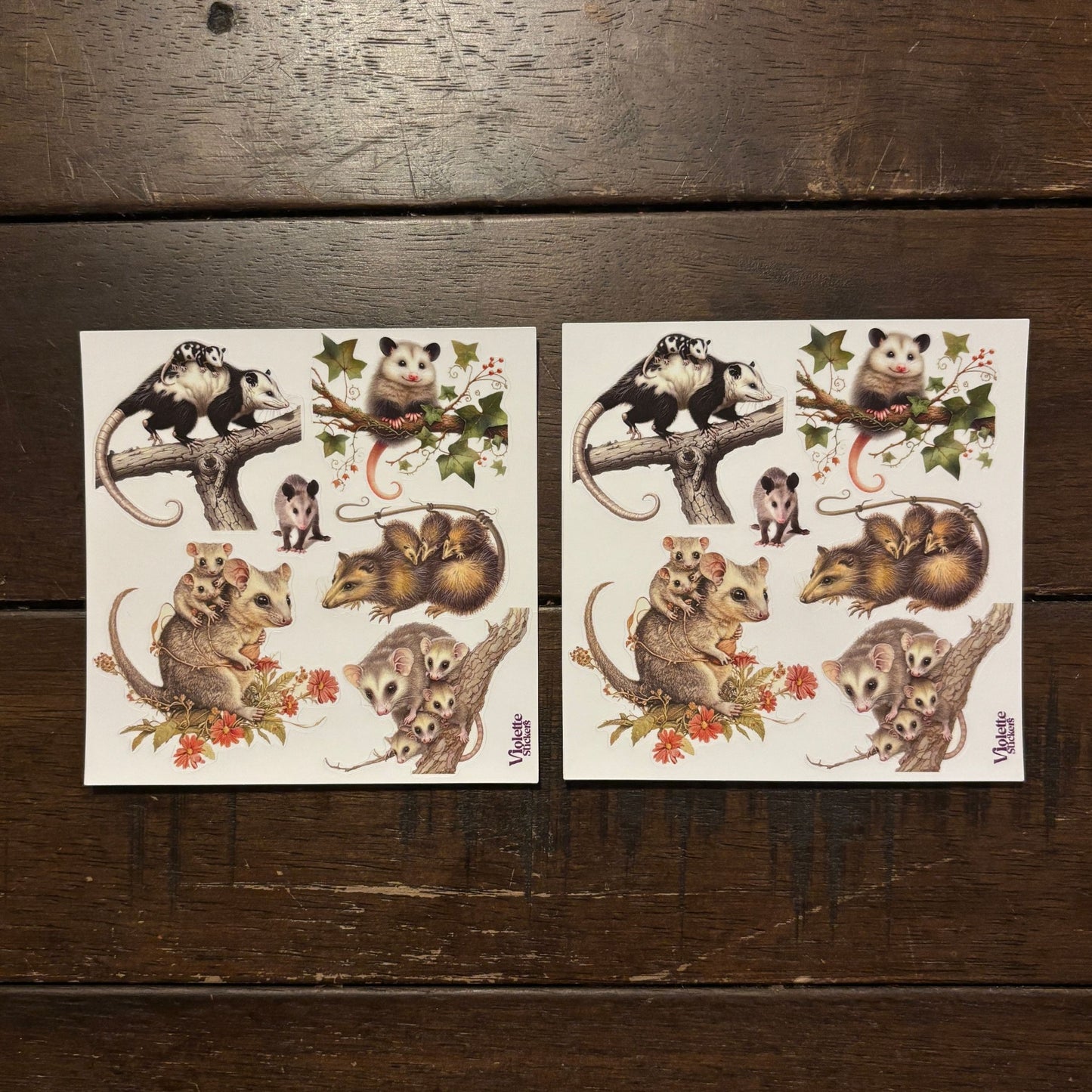 Possum Stickers | 4" x 4" | 2 Sheets