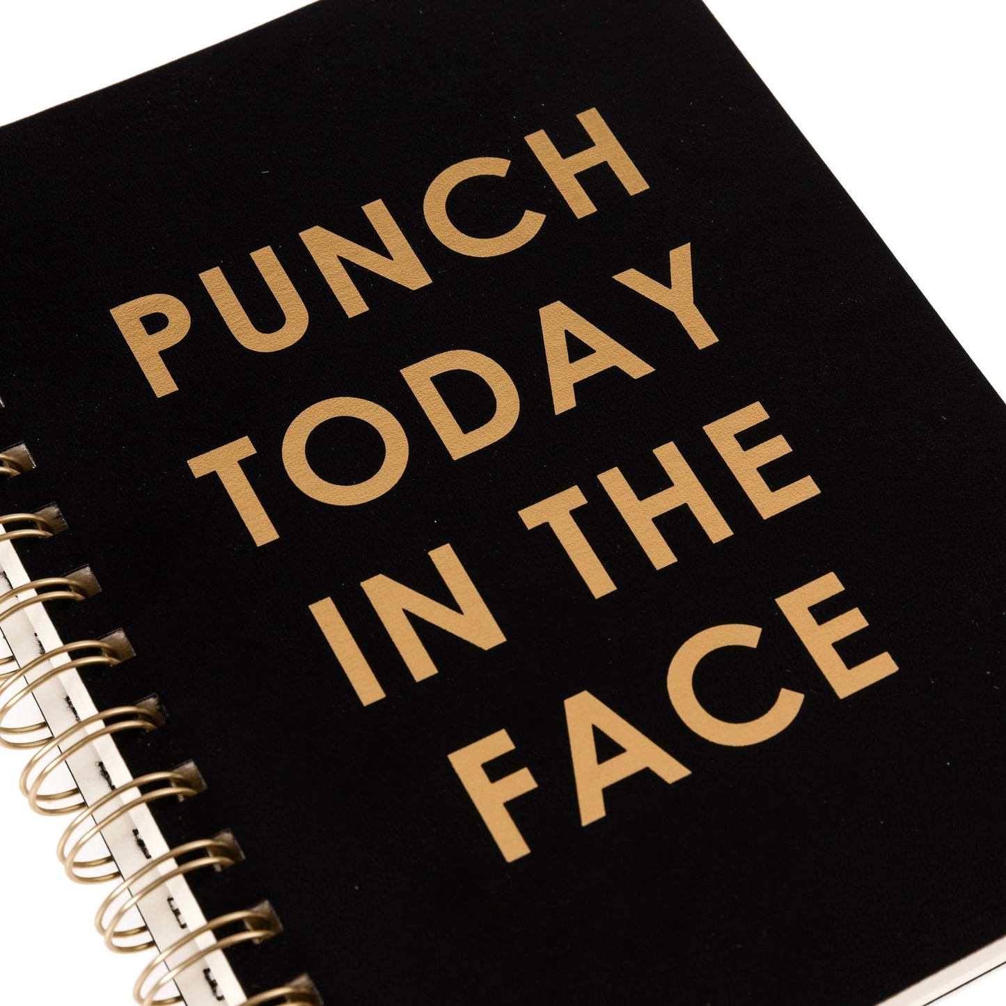 Punch Today In The Face Spiral Vegan Leather Journal | 192 Lined Pages Notebook | 6" x 8"