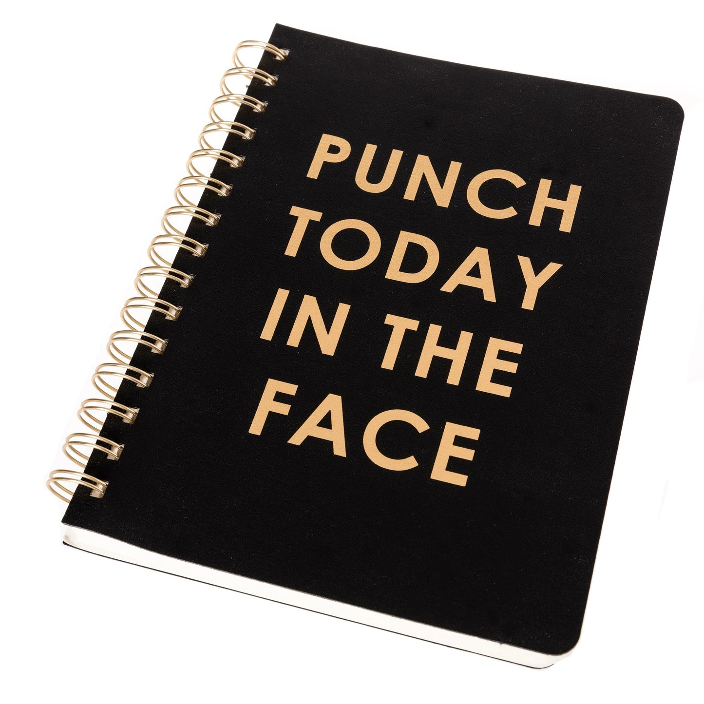 Punch Today In The Face Spiral Vegan Leather Journal | 192 Lined Pages Notebook | 6" x 8"