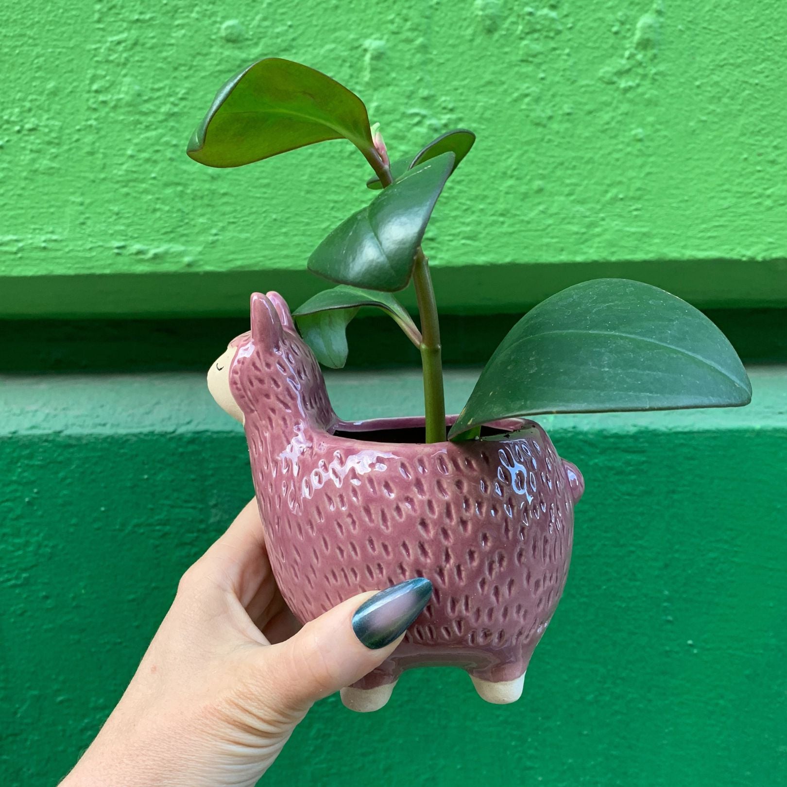 Purple Llama Pot | Alpaca Ceramic Planter Animal Shaped | 5" Tall