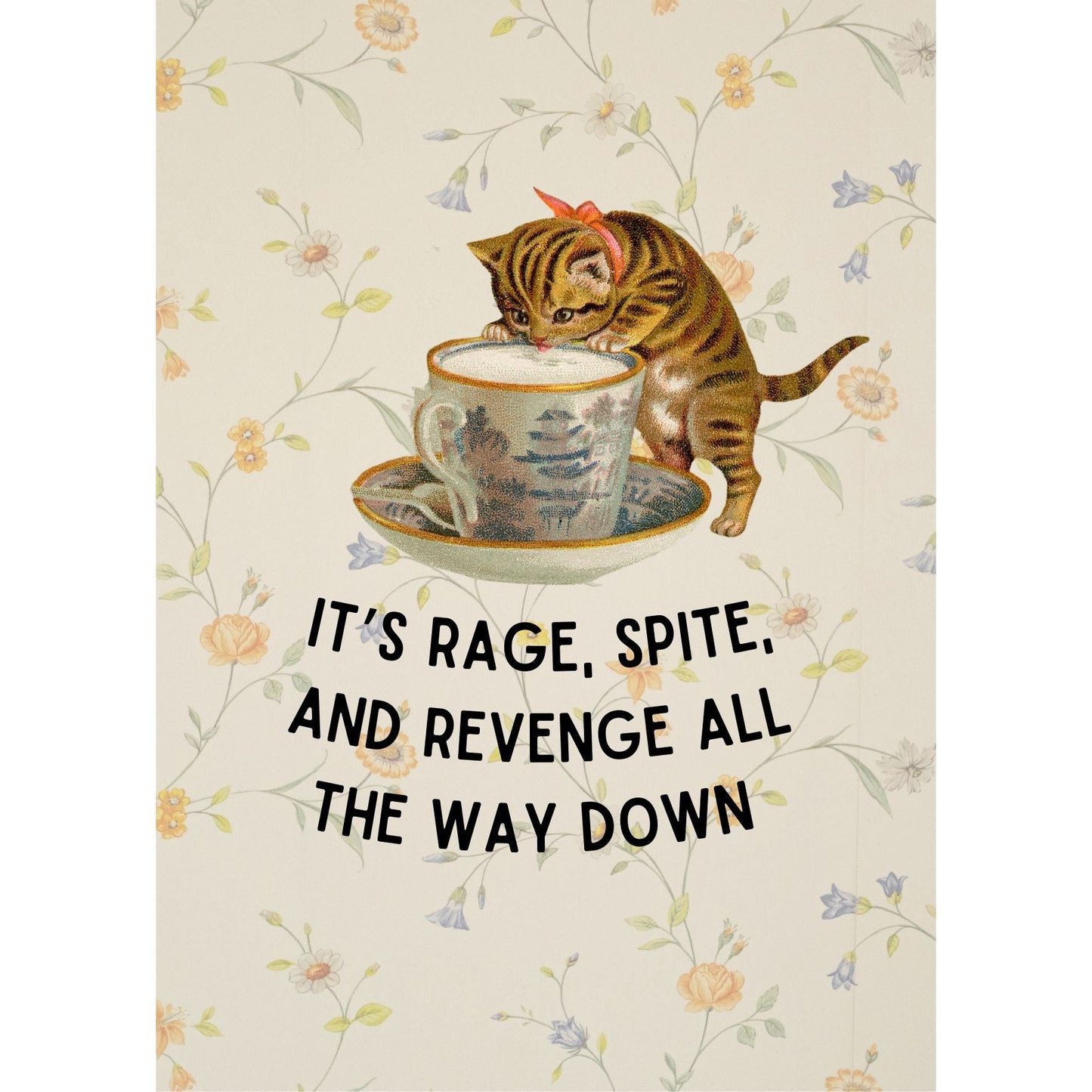 Rage Spite Revenge Vintage Cat Framed Wall Art | GetBullish Original Quote Sign