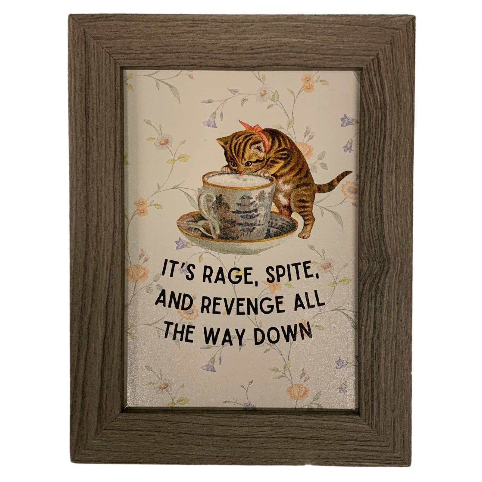 Rage Spite Revenge Vintage Cat Framed Wall Art | GetBullish Original Quote Sign