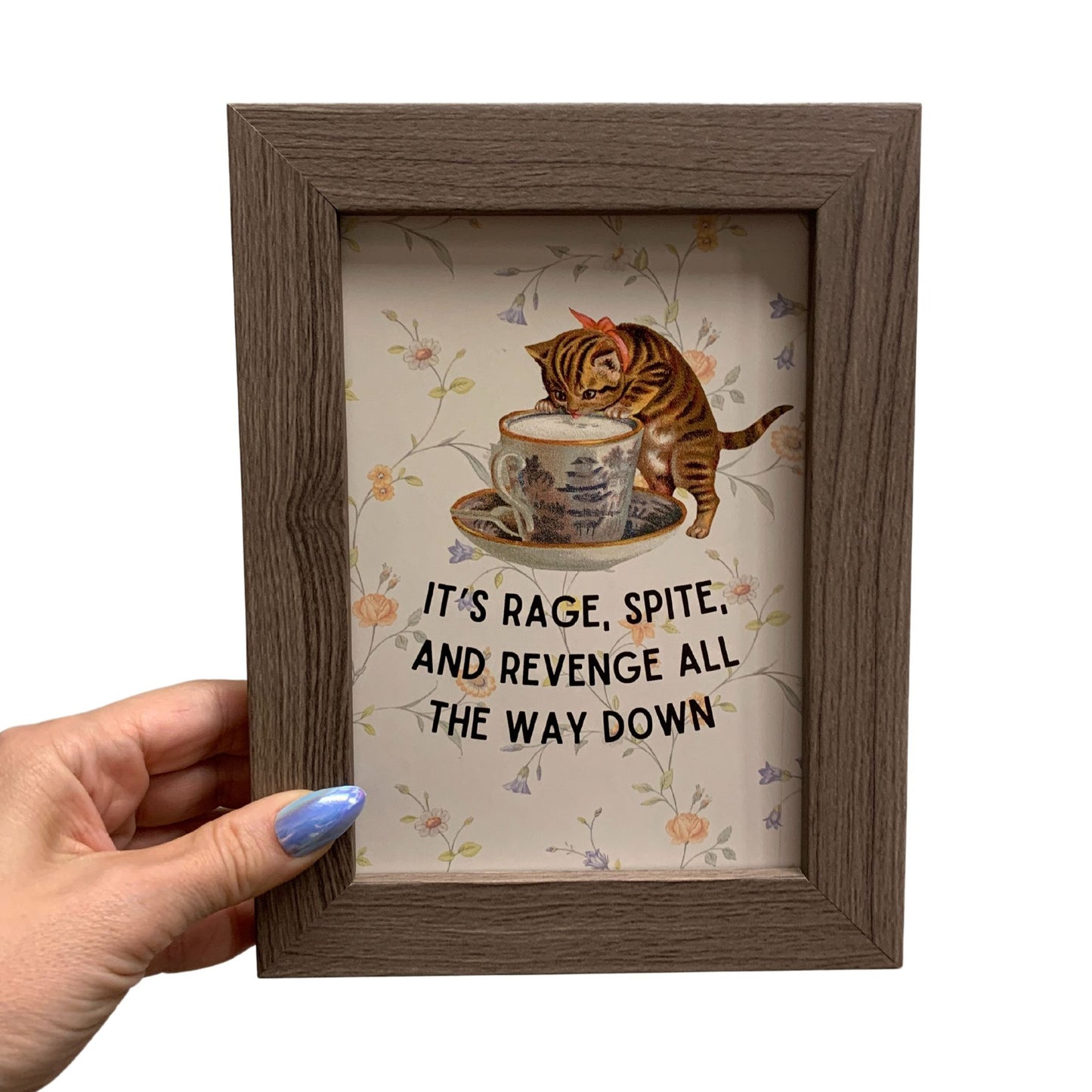 Rage Spite Revenge Vintage Cat Framed Wall Art | GetBullish Original Quote Sign