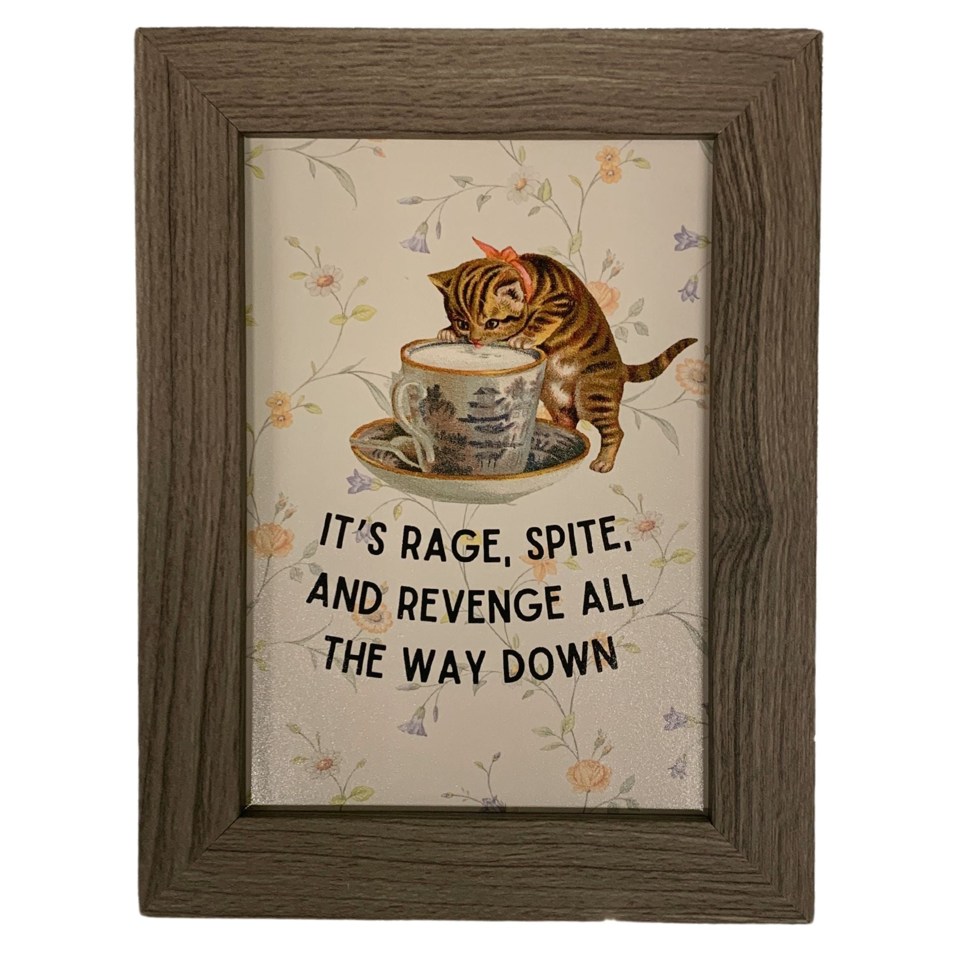 Rage Spite Revenge Vintage Cat Framed Wall Art Print | GetBullish Original Quote Sign