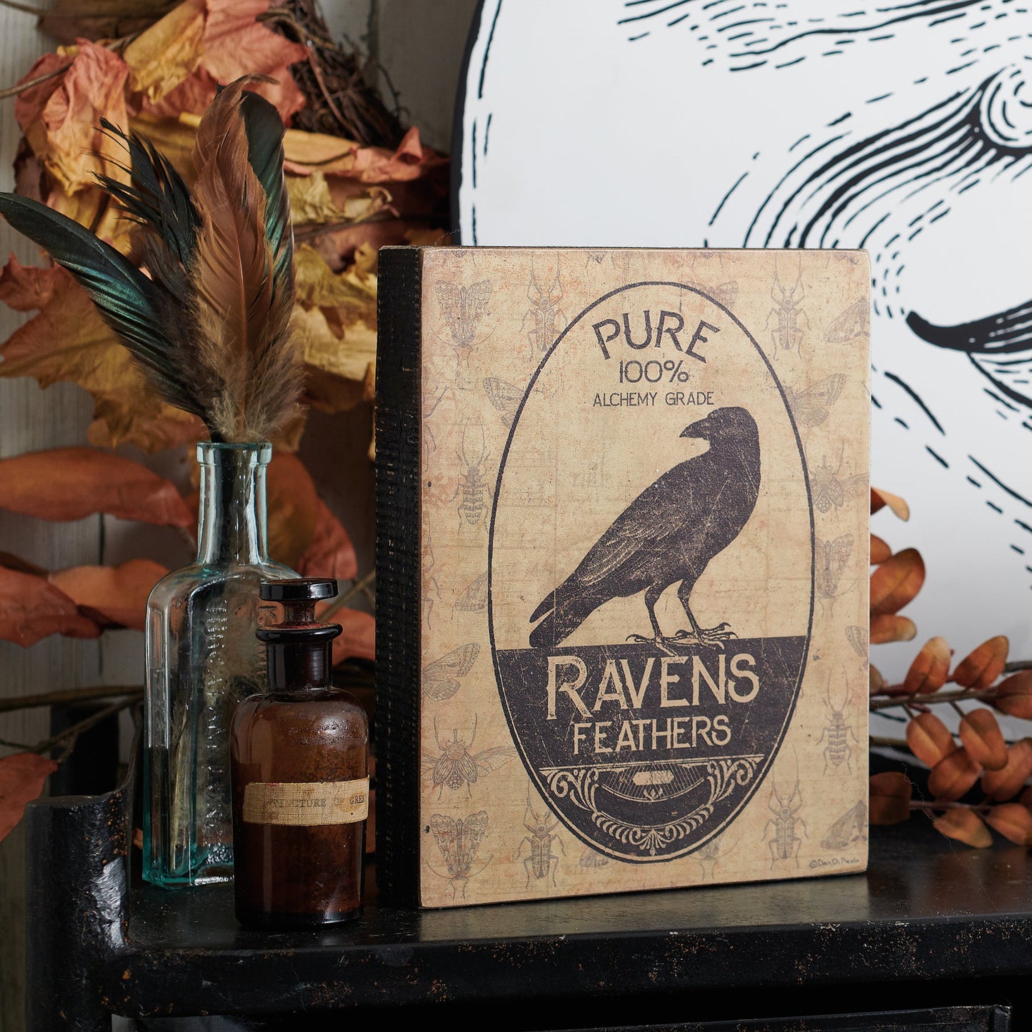 Ravens Feathers Box Sign | Wall Desk Rustic Wooden Box Sign | 6" x 8"