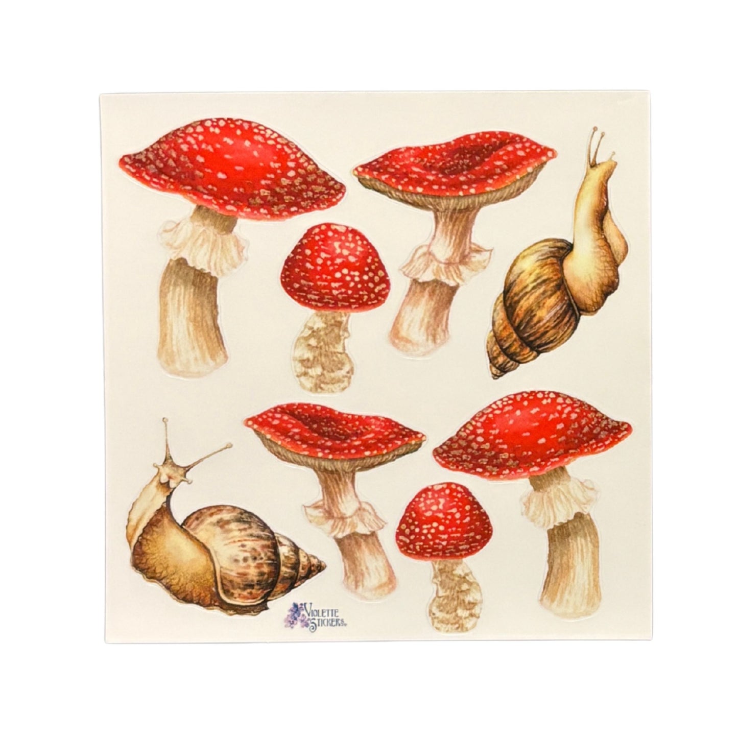 Real Mushrooms Stickers | 4" x 4" Paper Stickers | 2 Sheets