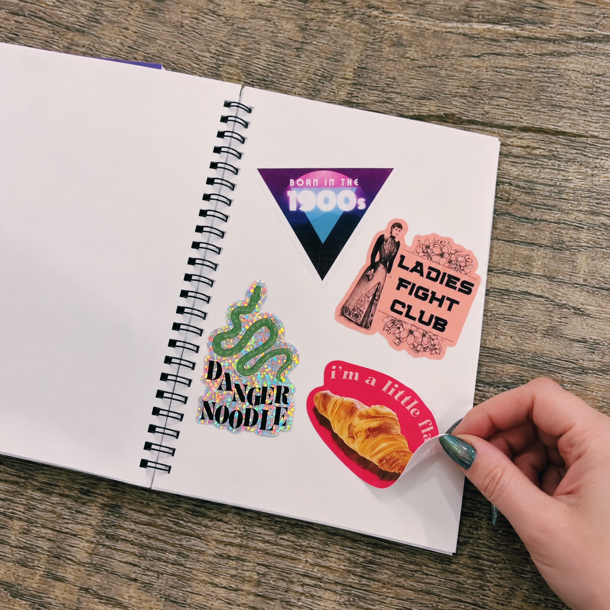 Reusable Sticker Storage Book | I Am Very Emotionally Attached to These Stickers | 50 Blank Pages Silicone Coated Release Paper Album-GetBullish-The Bullish Store