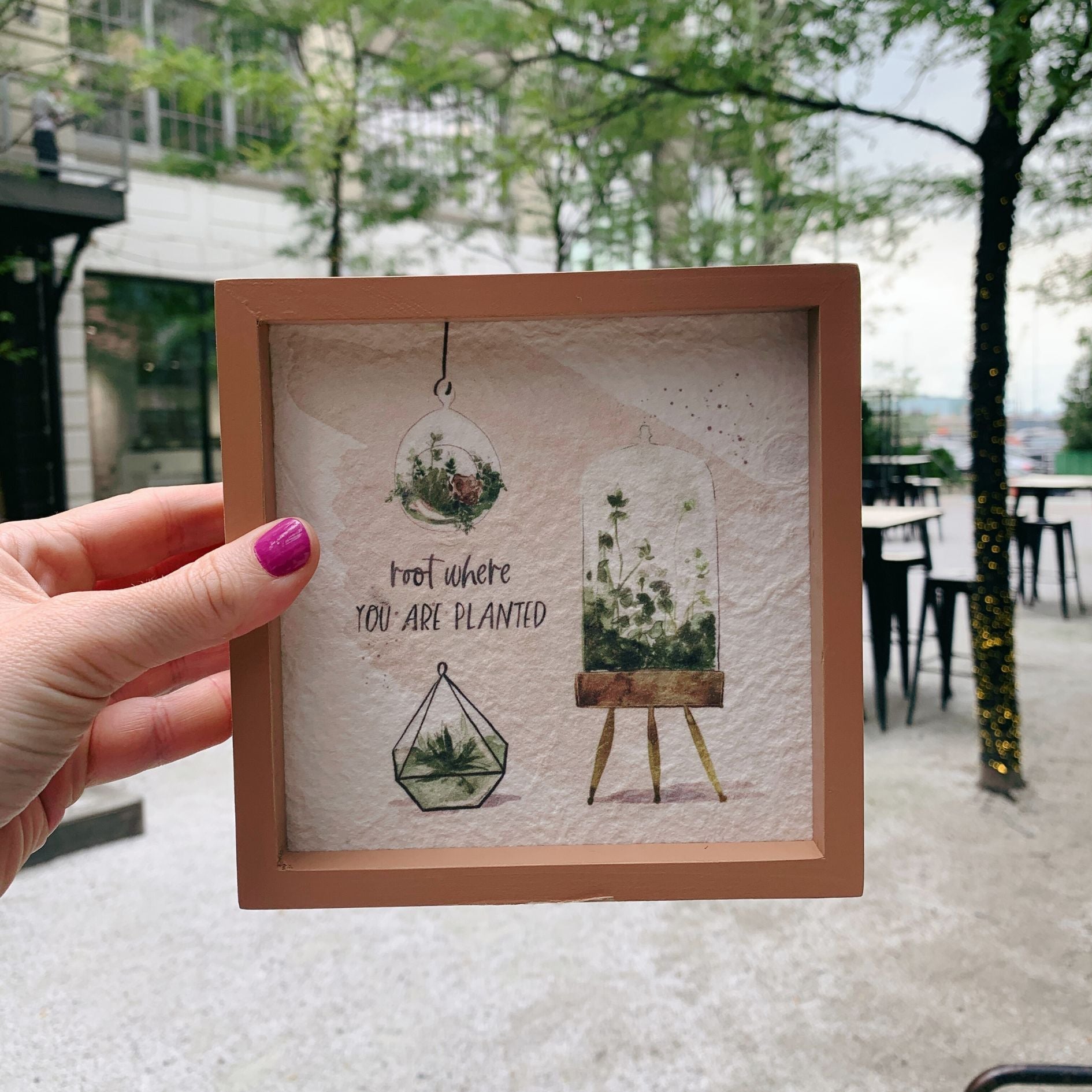 Root Where You Are Planted Inspo Box Sign | Plant Lovers Square Inset Wooden Decor | 6" x 6"