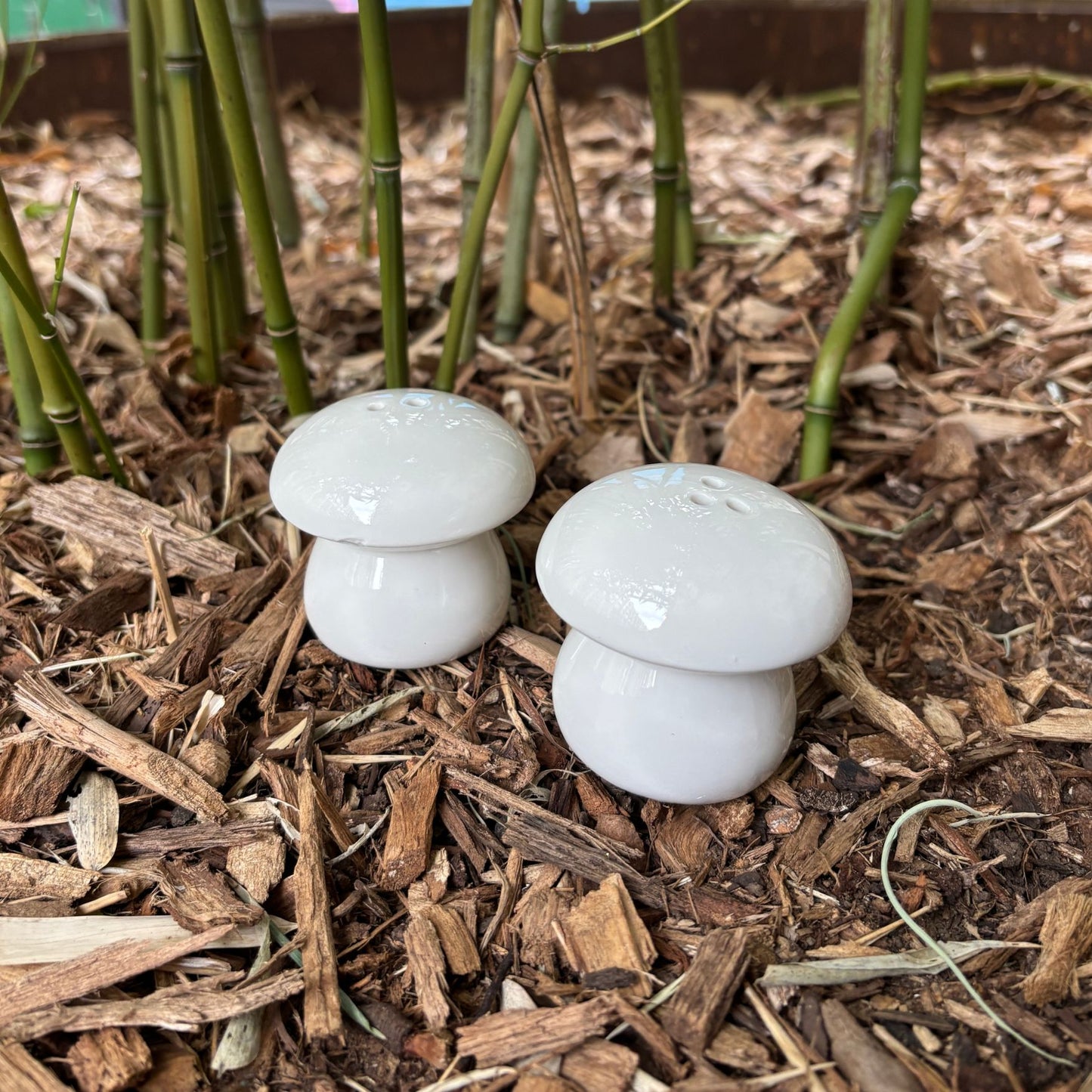 Salt And Pepper Mushroom Shakers Set | Cottagecore | Minimalist White