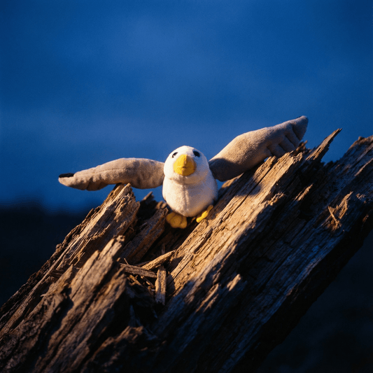 Sea Gull Stuffed Animal 5" | Pocketkins Eco Seagull by Wild Republic