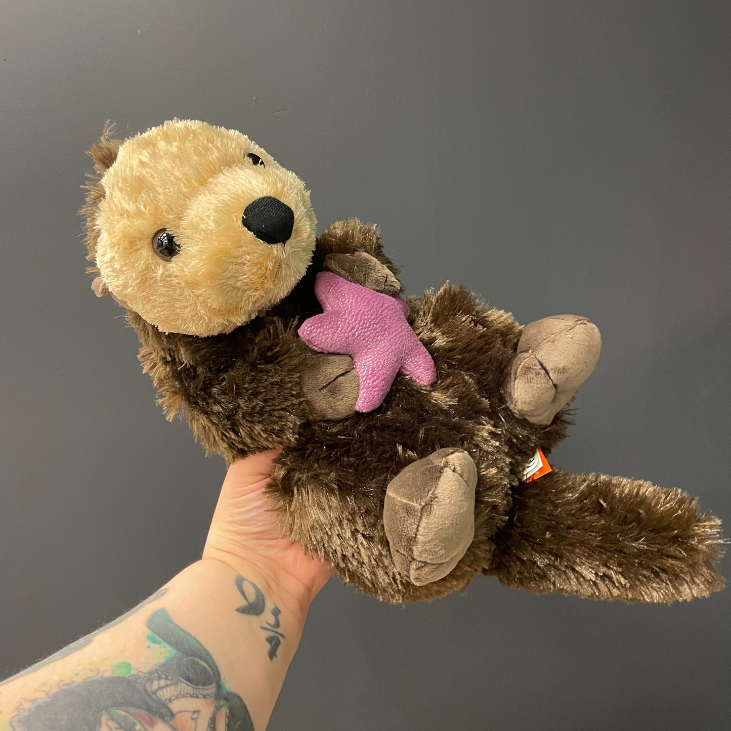 Sea Otter Stuffed Animal 12" | Cuddlekins Plush Sea Otter by Wild Republic