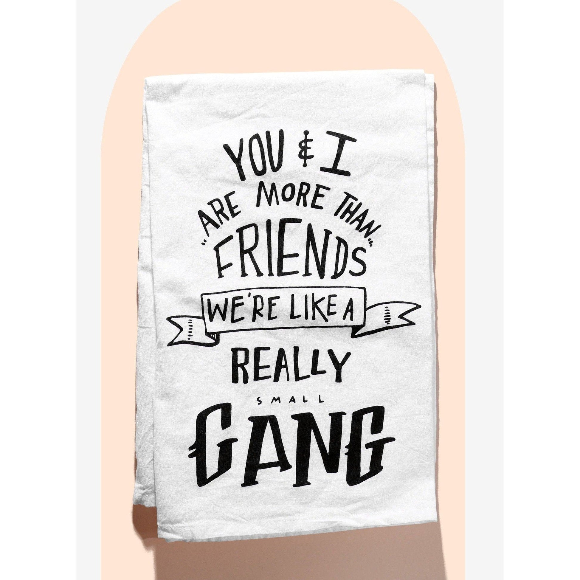 Set of 2 You & I Are More Than Friends, We're Like a Really Small Gang Funny Snarky Dish Cloth Towel | Funny Tea Towel