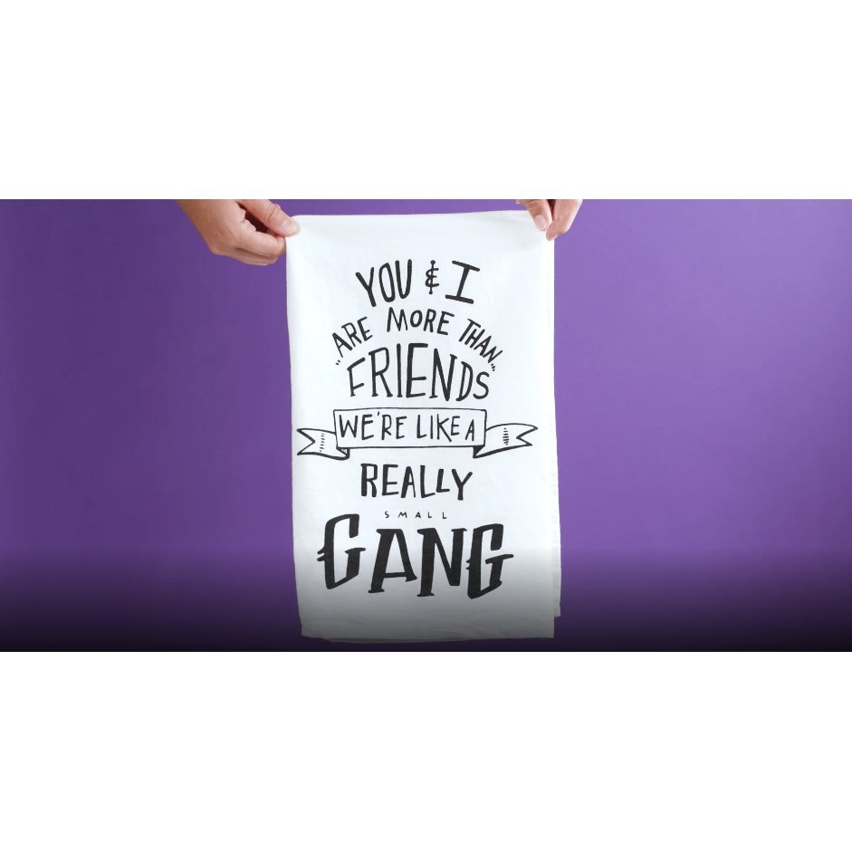 Set of 2 You & I Are More Than Friends, We're Like a Really Small Gang Funny Snarky Dish Cloth Towel | Funny Tea Towel