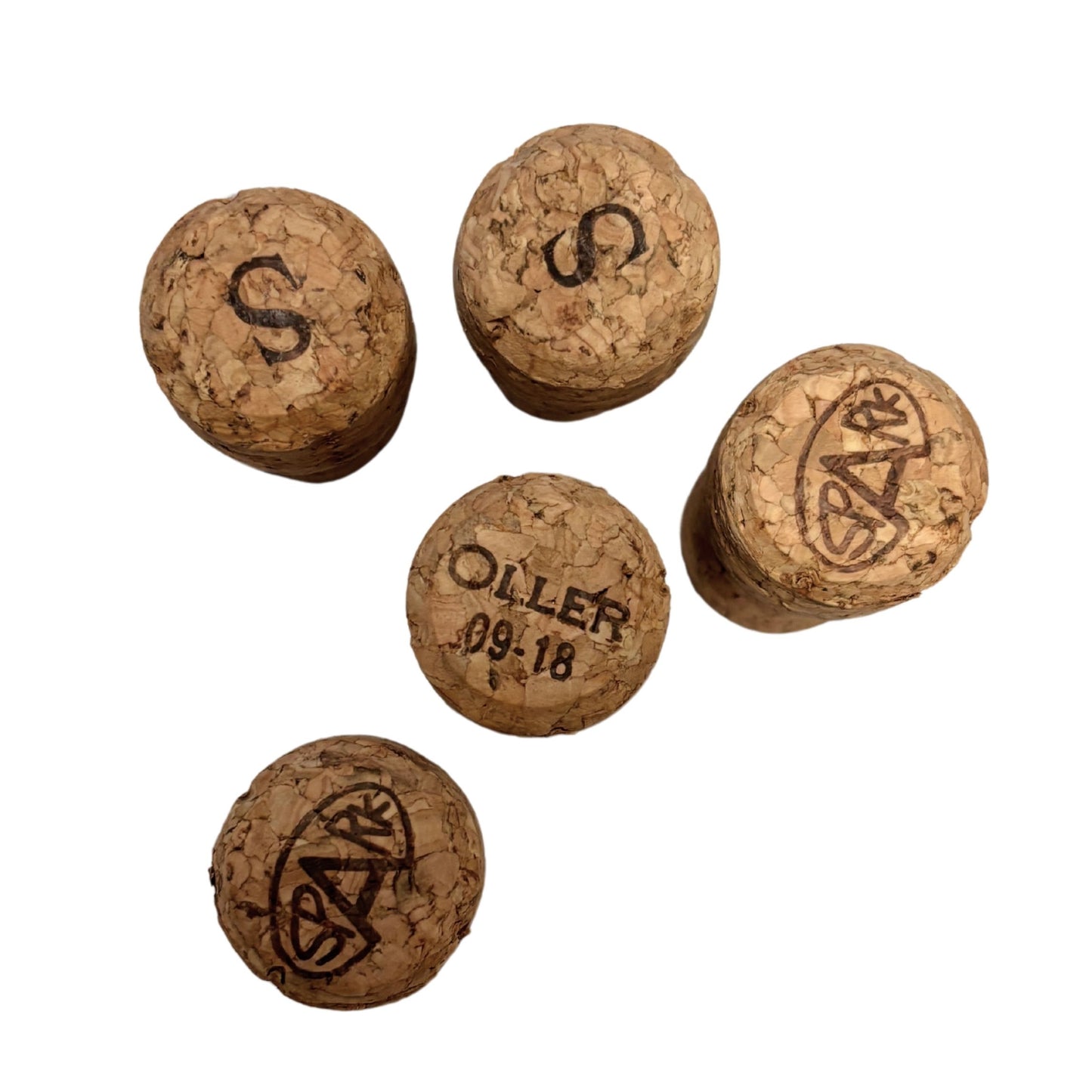 Set of 5 Real Champagne Corks Refrigerator Magnets | Upcycled by Renaissance Fart
