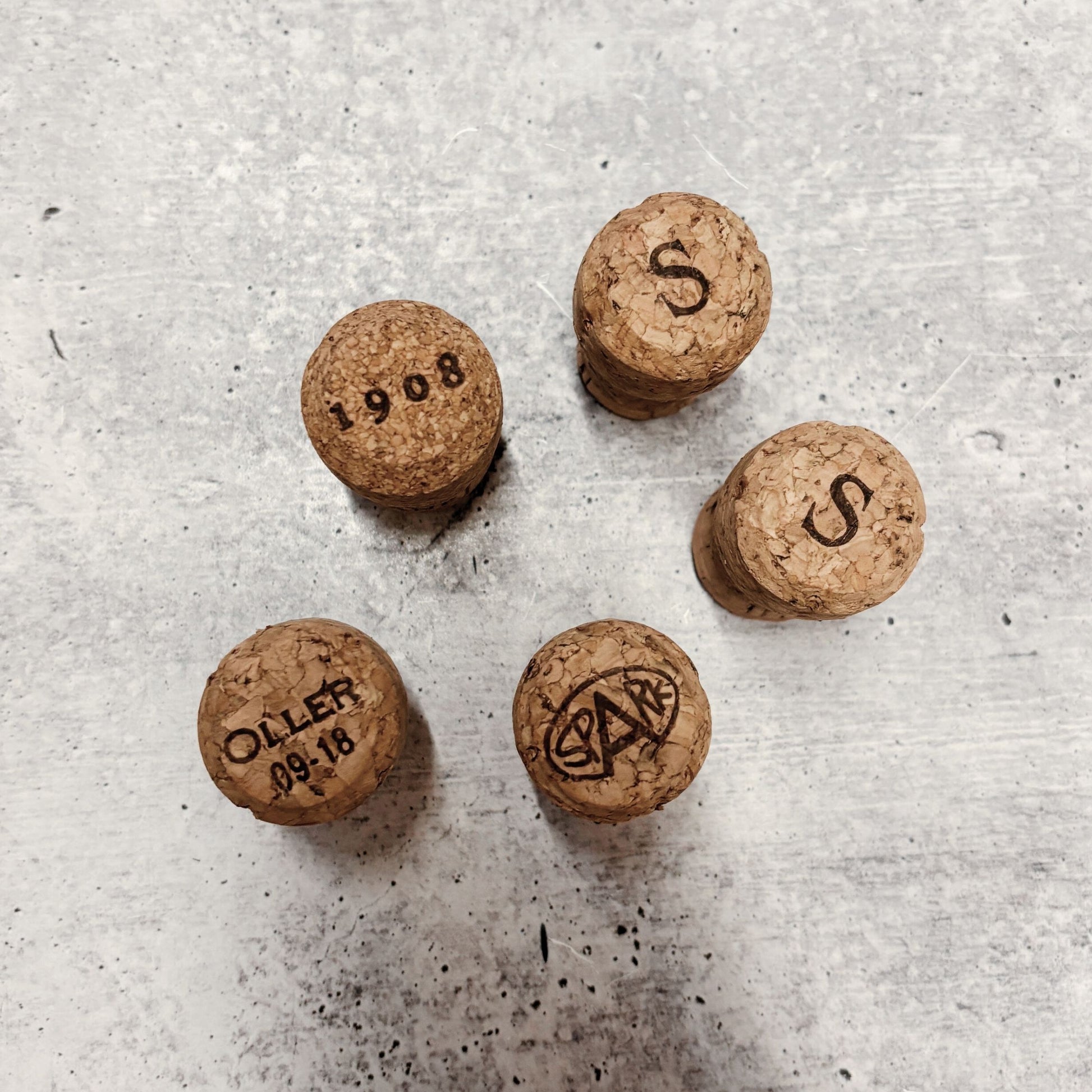 Set of 5 Real Champagne Corks Refrigerator Magnets | Upcycled by Renaissance Fart