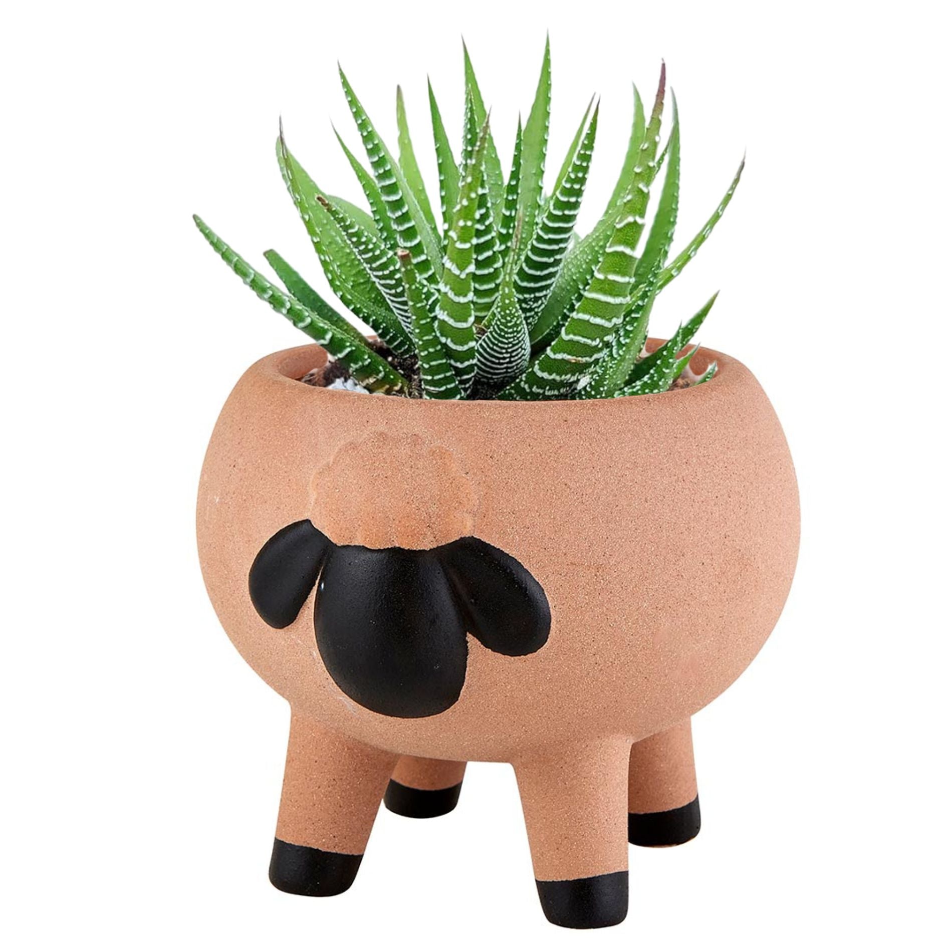 Sheep Animal Planter Pot Large | 3.5" Tall