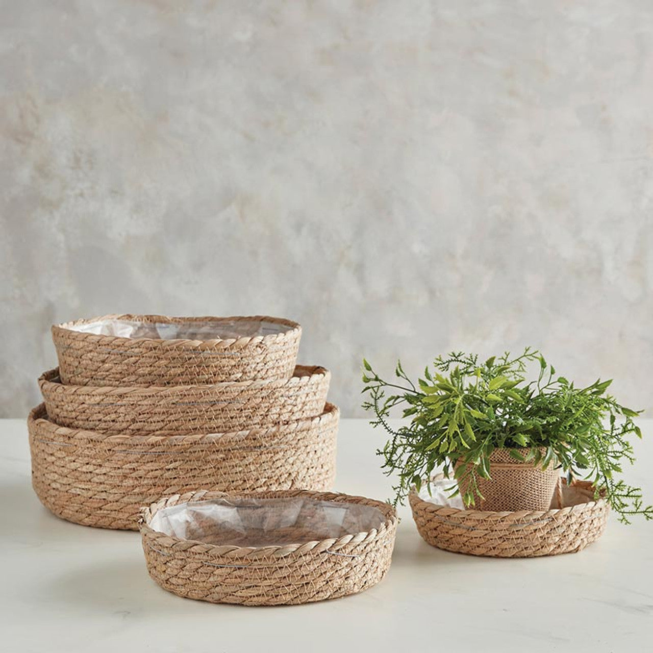 Short Lined Baskets Set of 5 | Woven Seagrass Container Bin Set