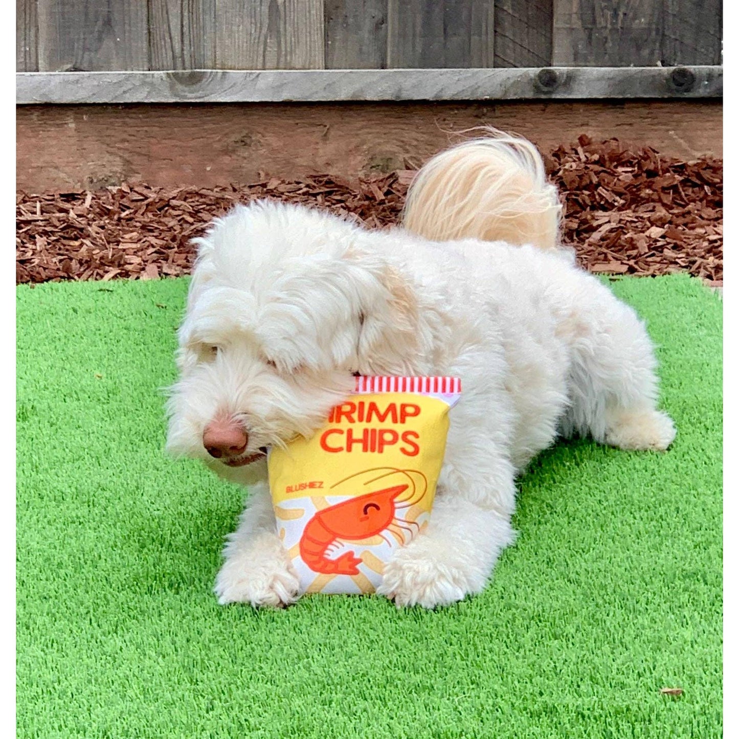 Shrimp Chips Dog Toy | 2 Pieces with Crinkle Sound | Asian Snack Food Theme-Blushiez-The Bullish Store