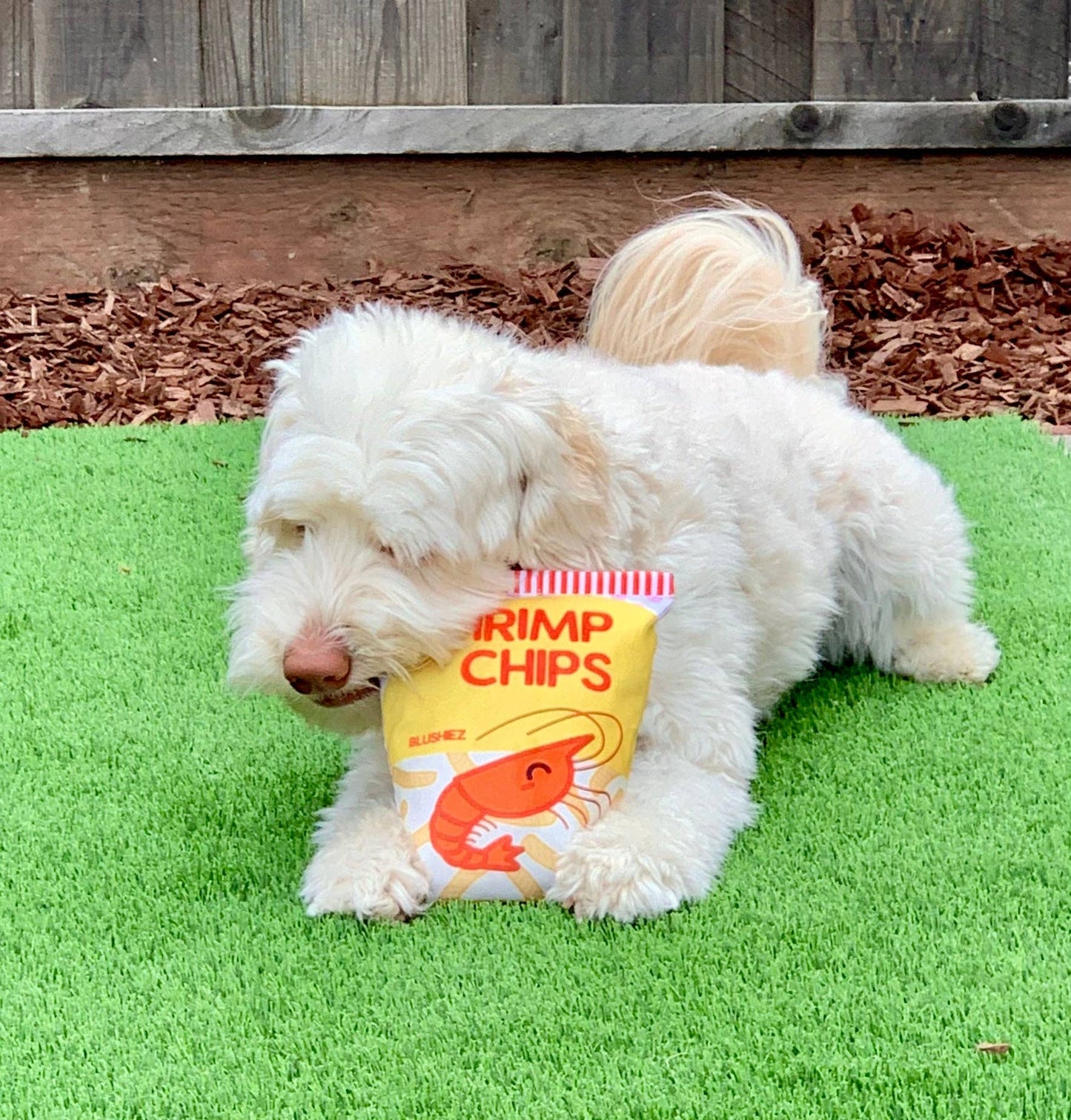 Shrimp Chips Dog Toy | 2 Pieces with Crinkle Sound | Asian Snack Food Theme-Blushiez-The Bullish Store