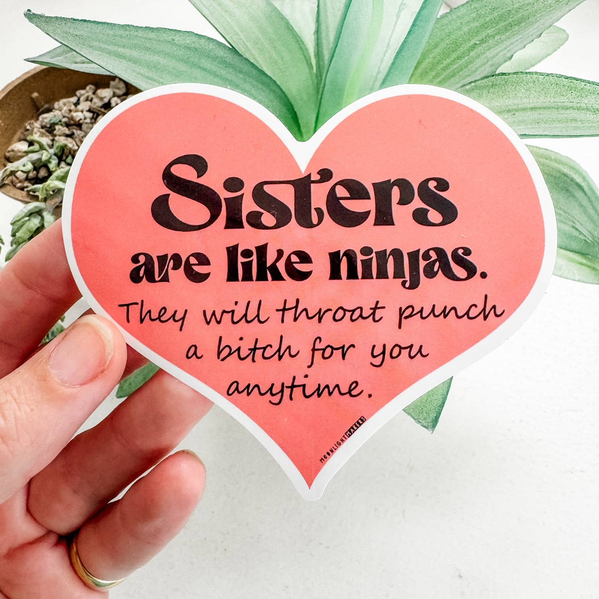 Sisters Are Like Ninjas Vinyl Sticker