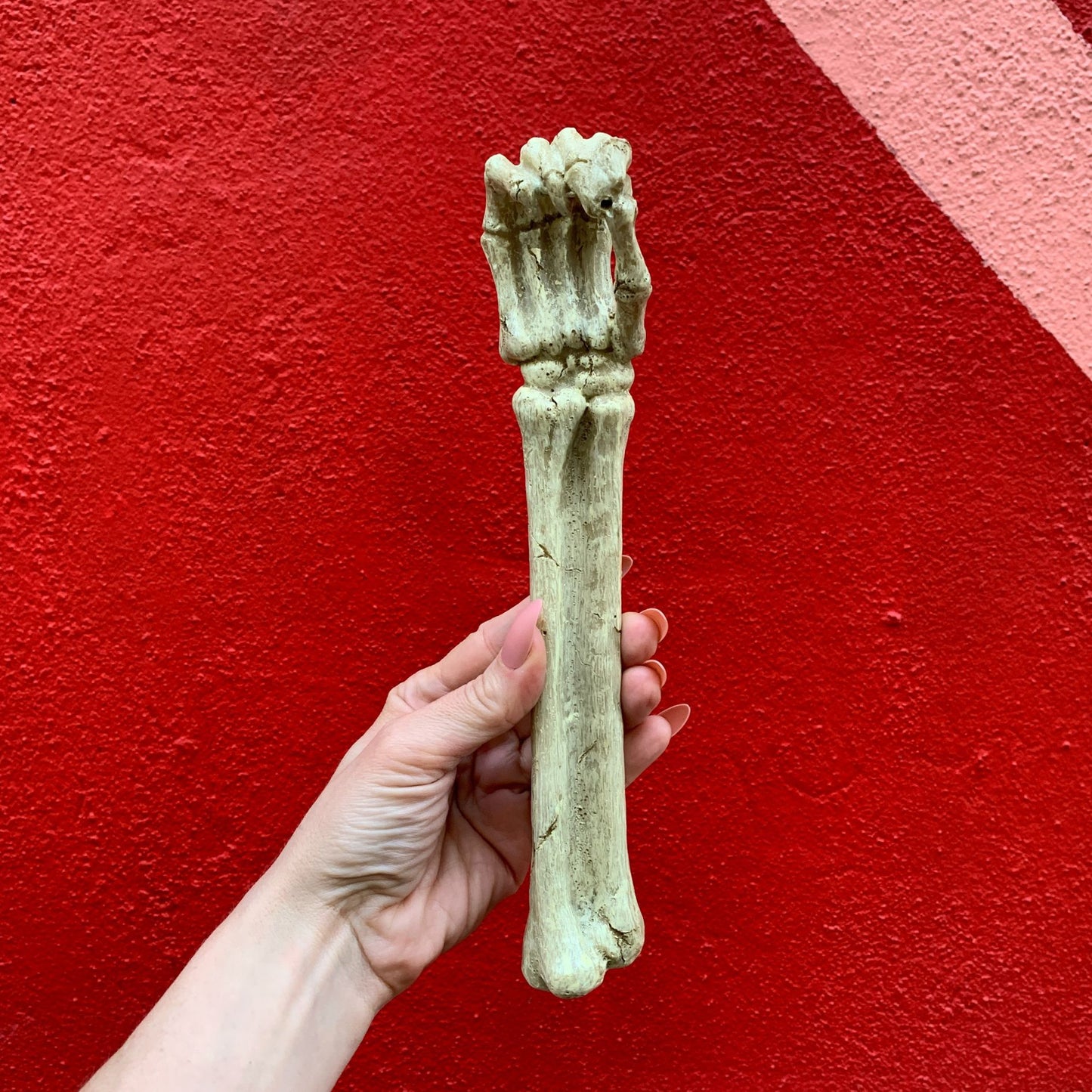 Skeleton Arm Incense Burner | Creepy Spooky Halloween Incense Stick Holder