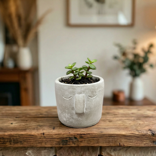 Small Face Pot | Decorative Cement Planter | 3" x 2.5"