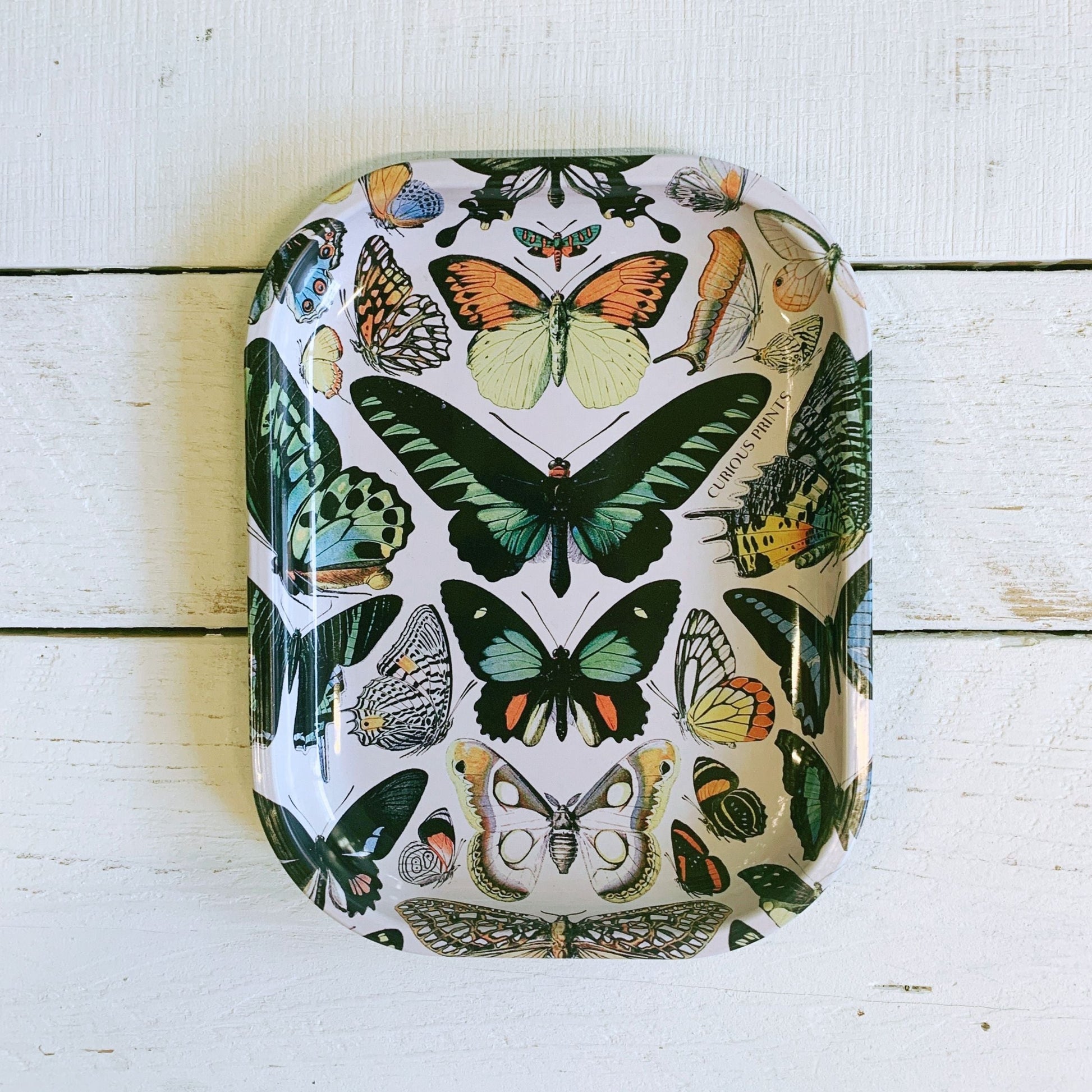 Small Metal Butterfly Tray | Vintage Butterflies Print Catch-all Rolling Tray | 5"x7"