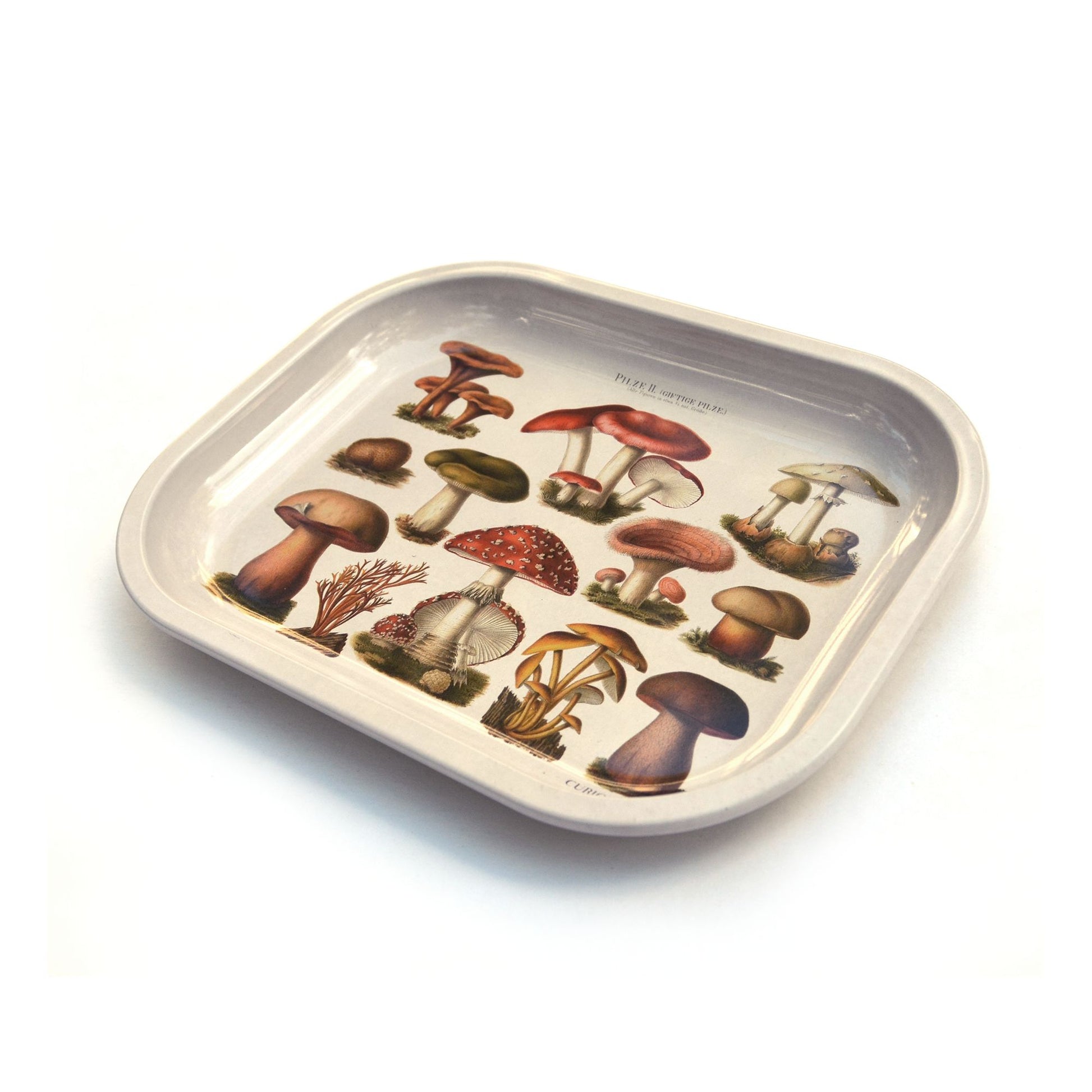 Small Metal Tan Mushroom Ritual Tray | Vintage Fungi Print Rolling Catch-all Tray | 5"x7"