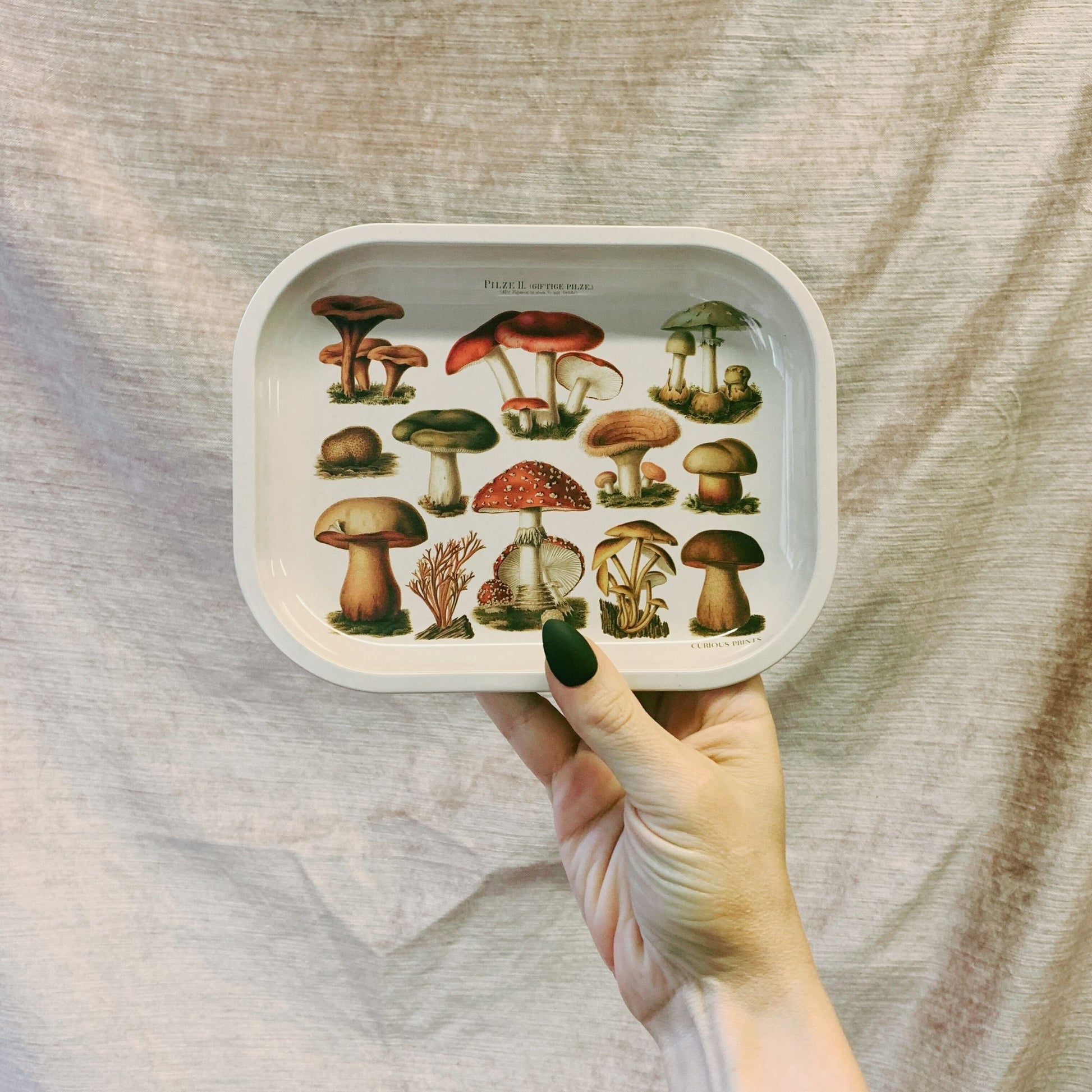 Small Metal Tan Mushroom Ritual Tray | Vintage Fungi Print Rolling Catch-all Tray | 5"x7"